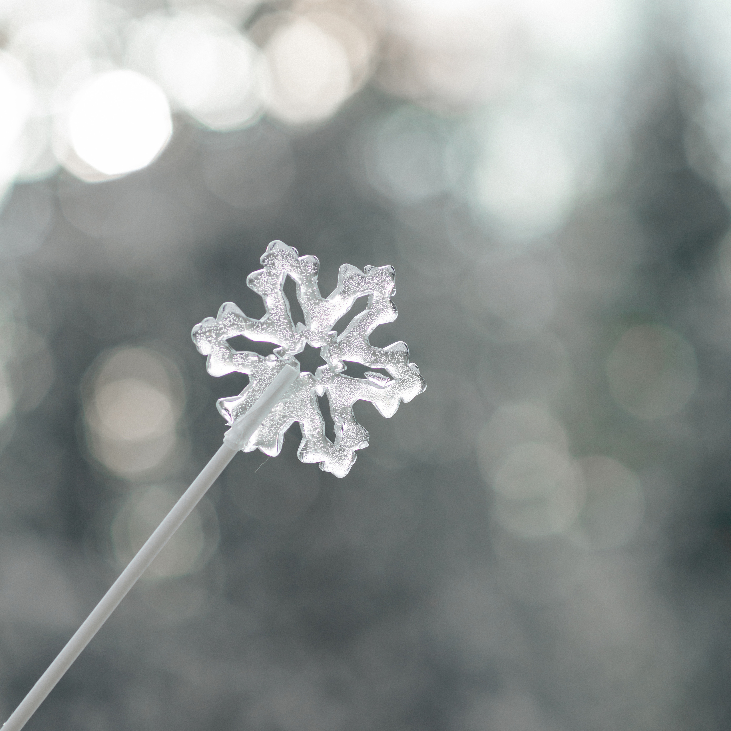 L. @dariazphoto свадебный фотограф