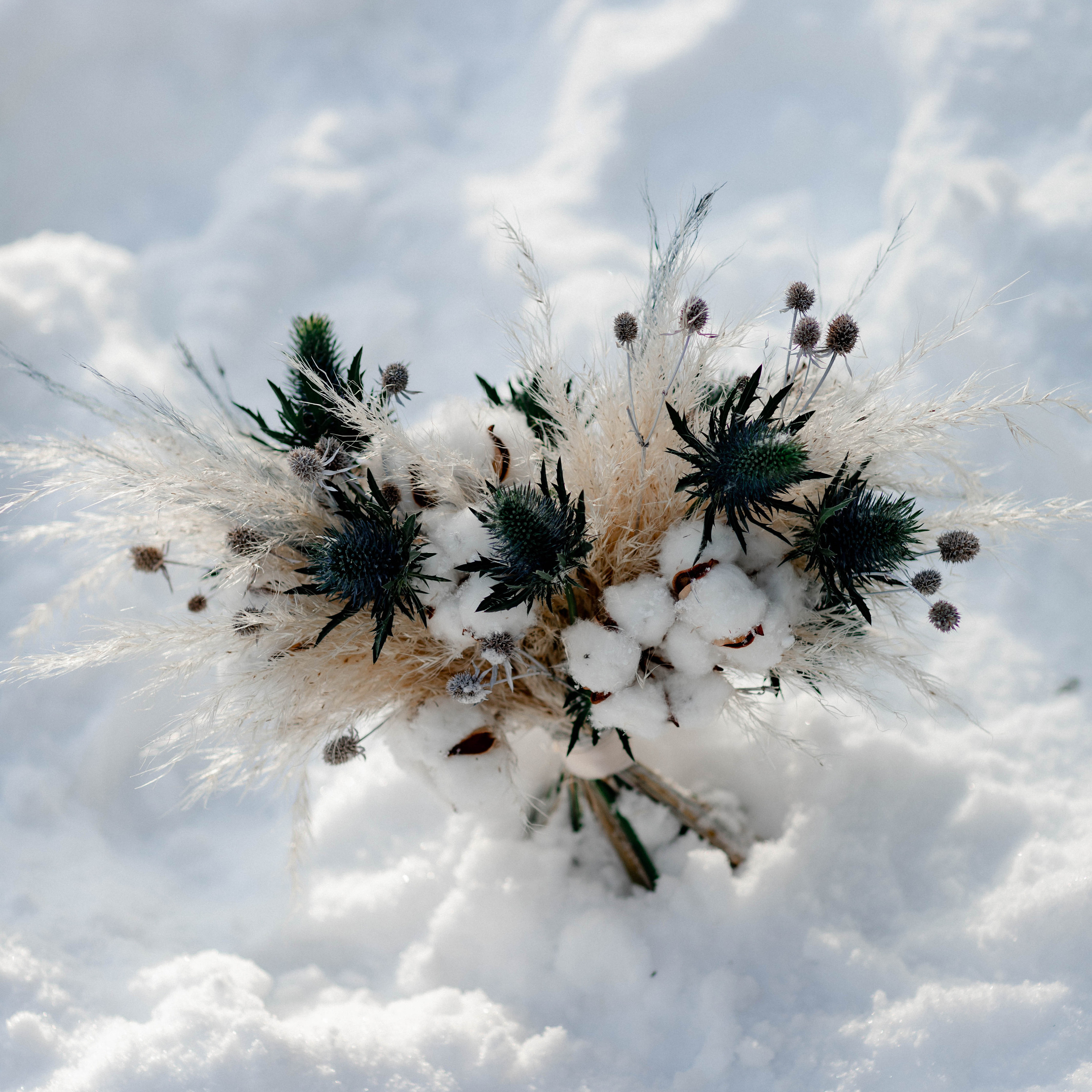 L. @dariazphoto свадебный фотограф