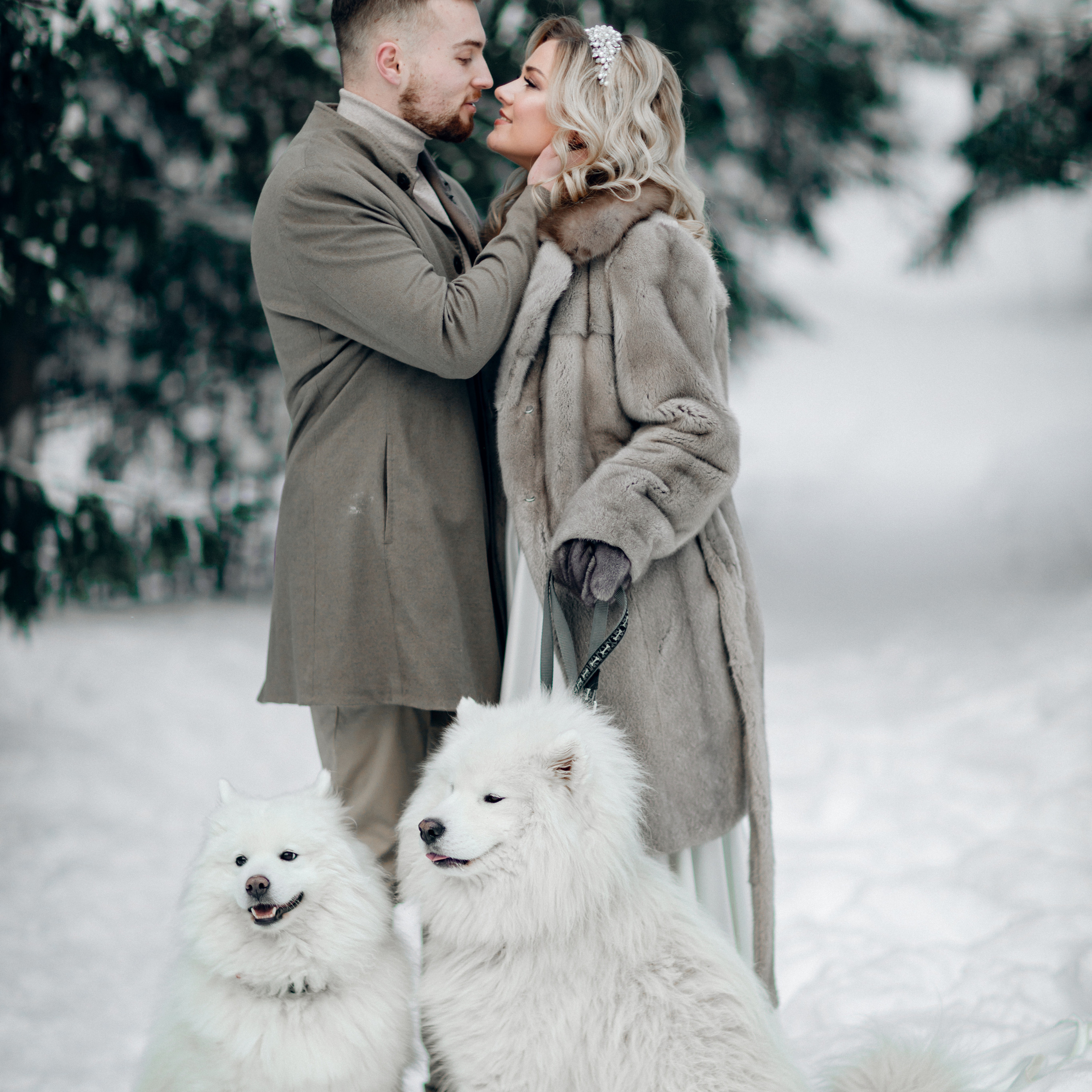 L. @dariazphoto свадебный фотограф