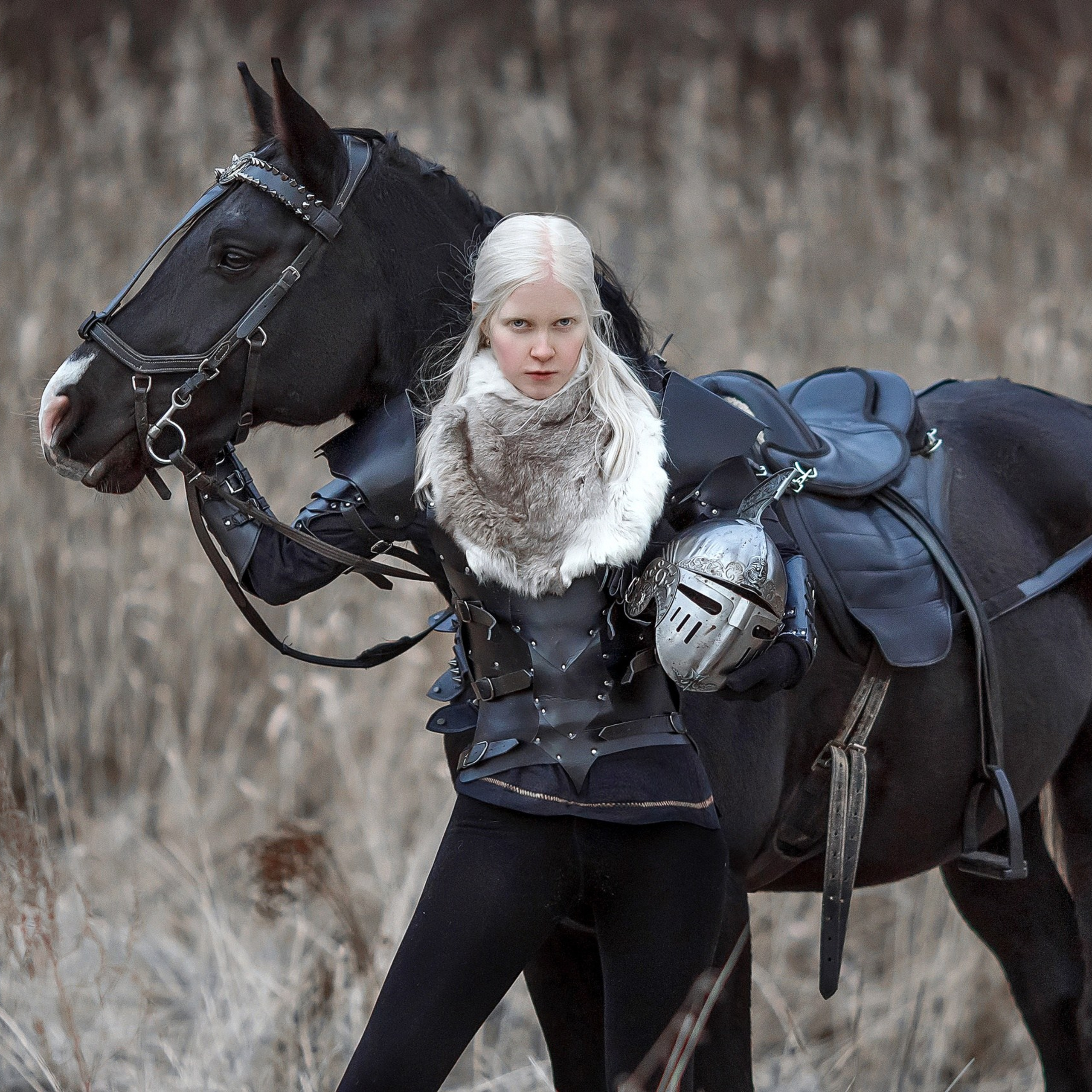 Валькирия, латы (нагрудник, наплечники, наручи, краги на ноги)