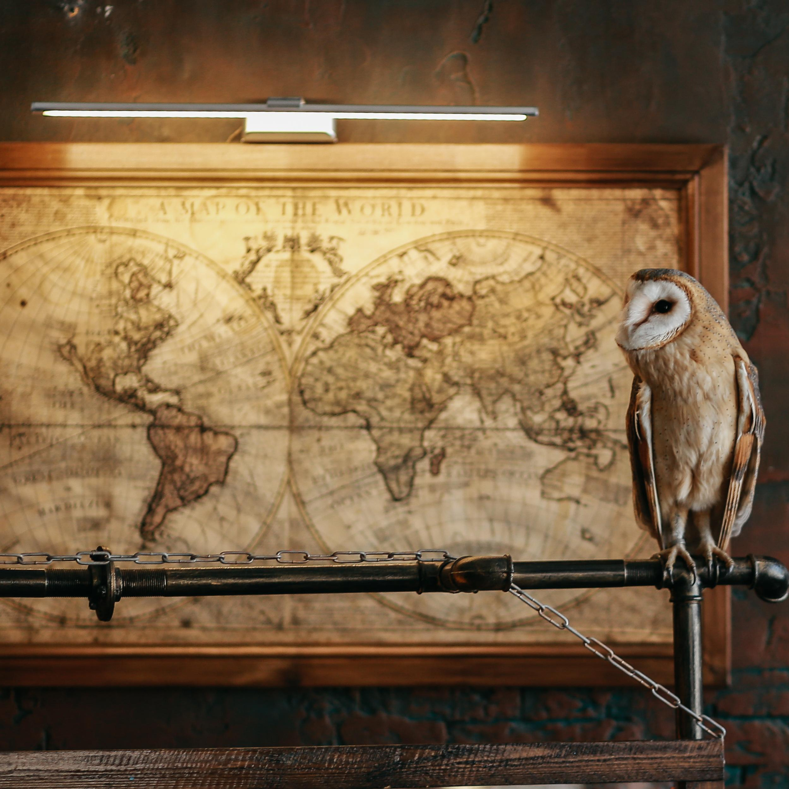 Отзывы. Антонина Морозова, профессиональный семейный фотограф видеограф