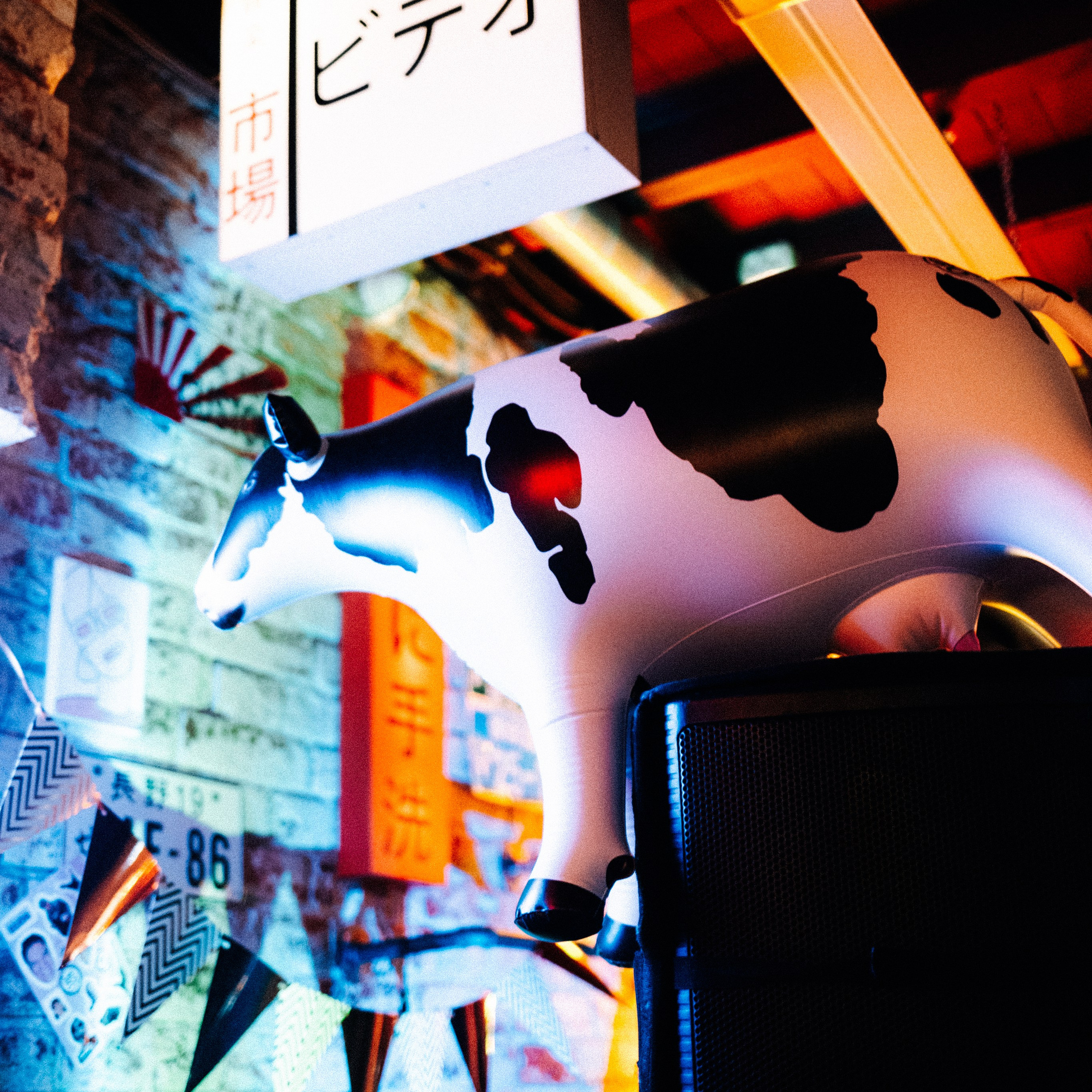 SBROD 005: IGOR. SBROD