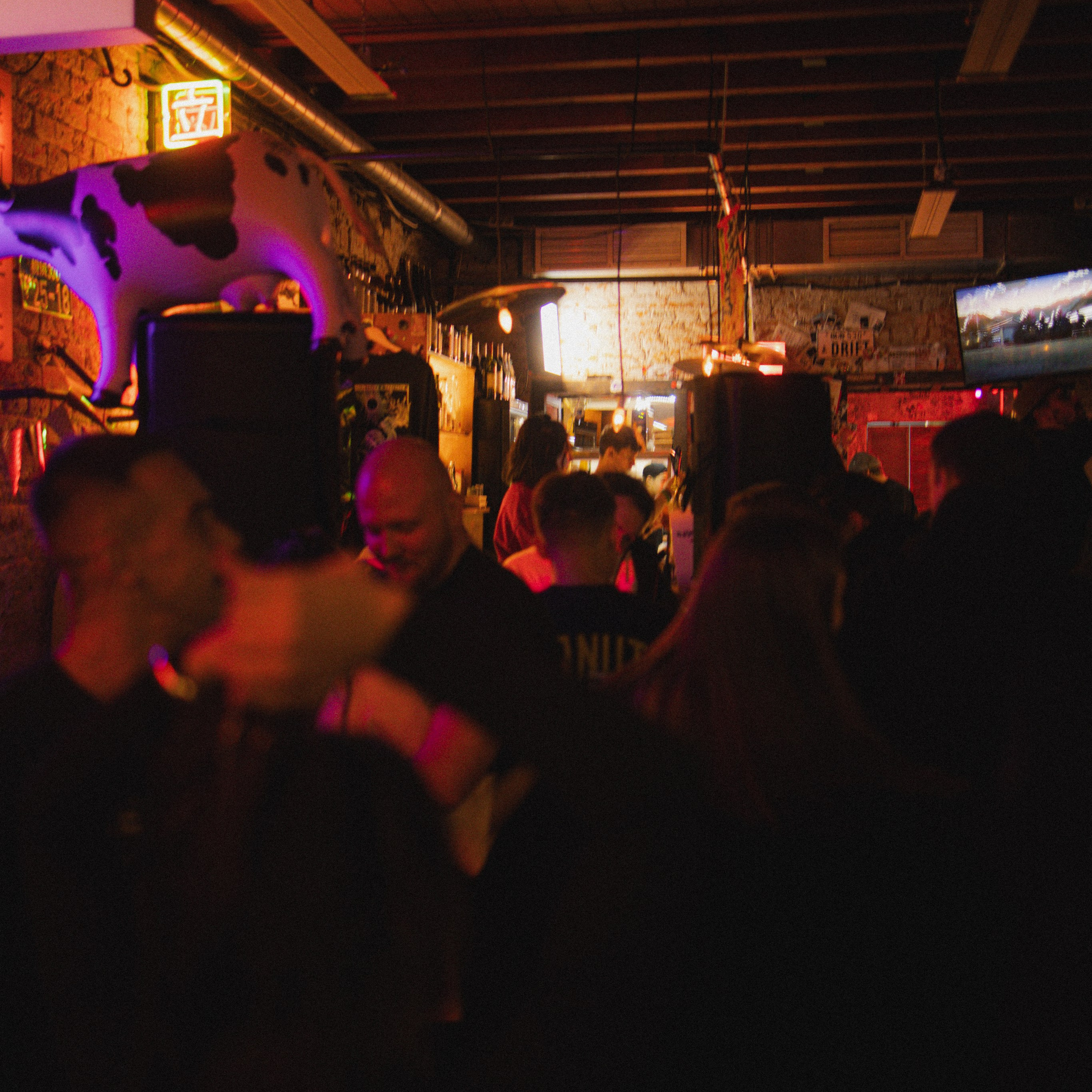 SBROD 005: IGOR. SBROD