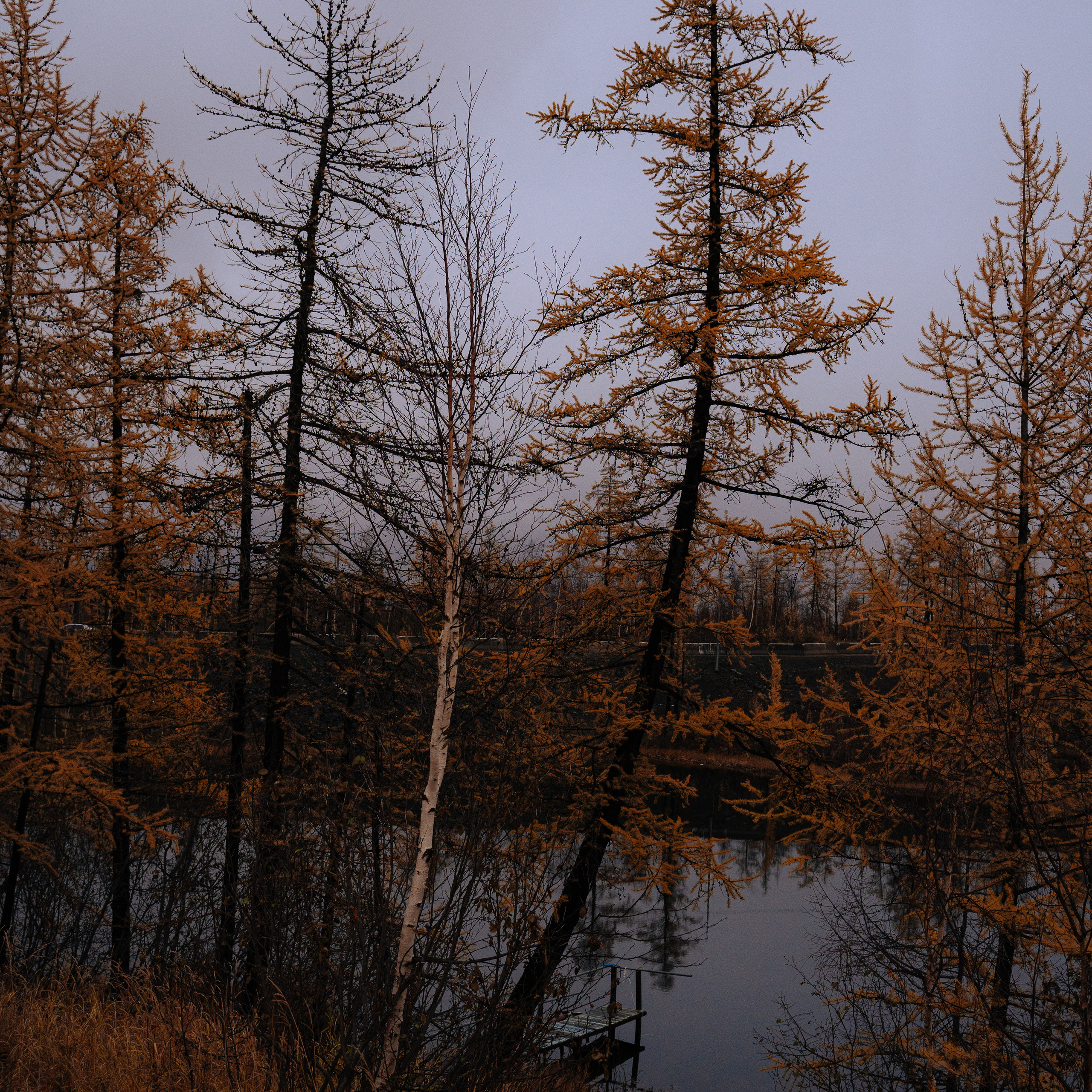 Отзывы. Фотограф Таня Смолянинова
