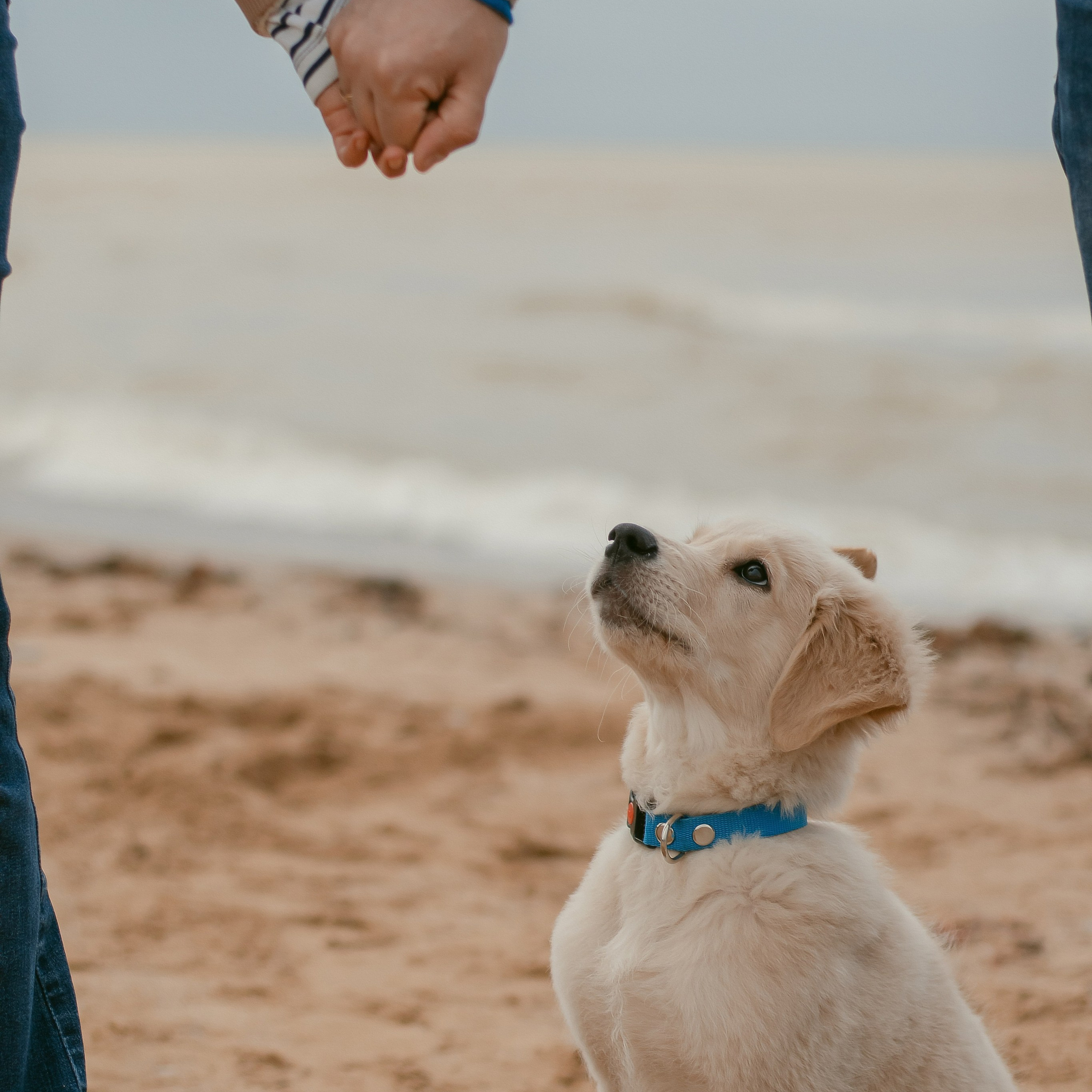 Отзывы. Главная