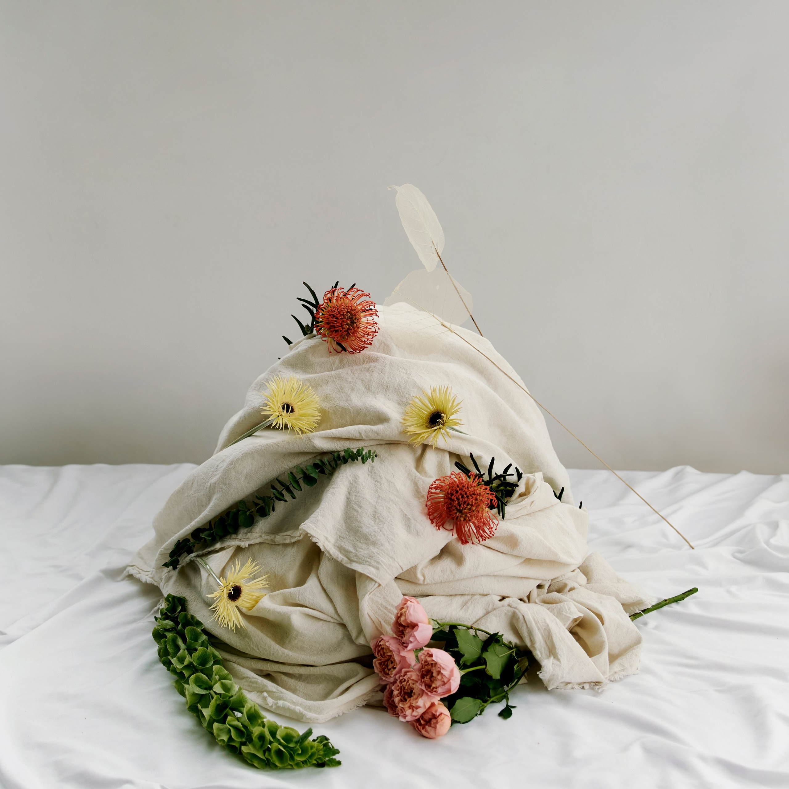 for DA VINCI flowers