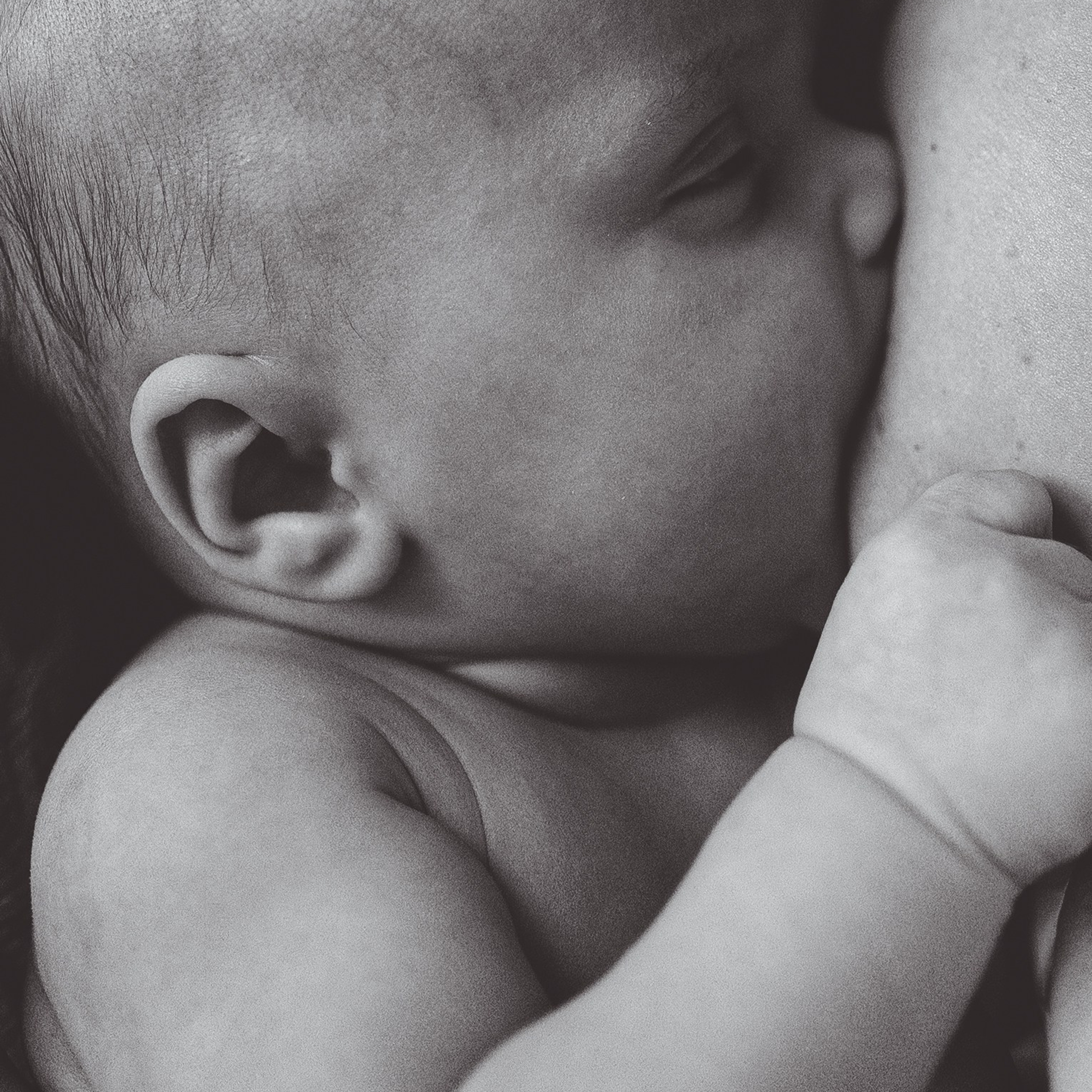 Newborn 