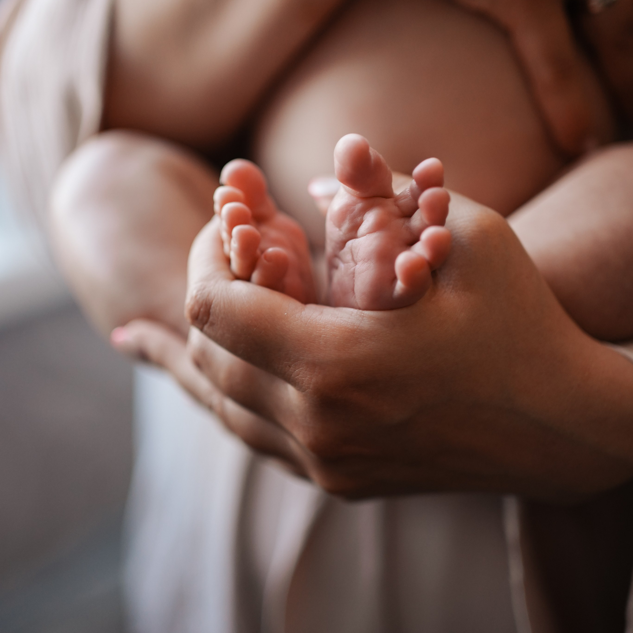 Newborn 