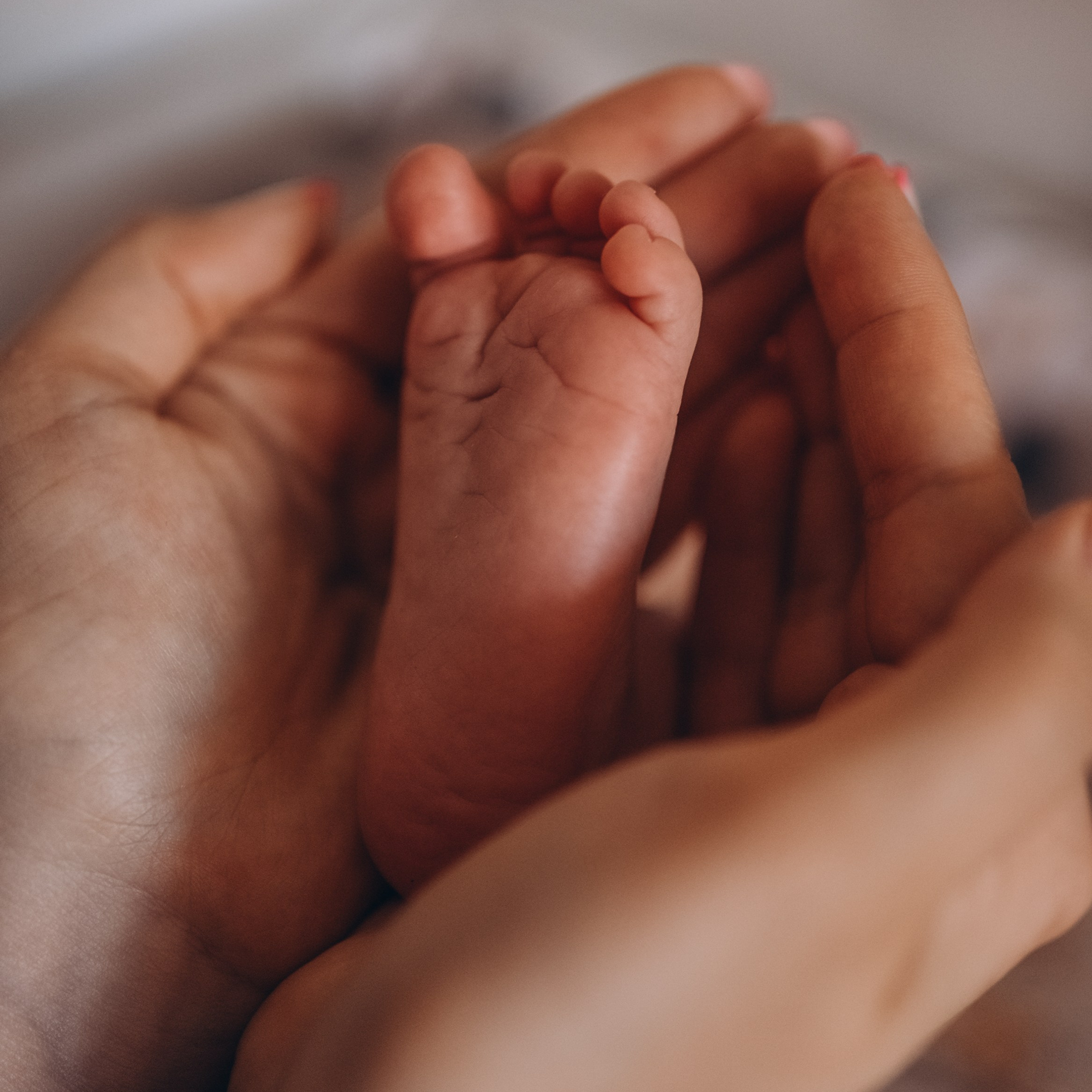 Newborn
