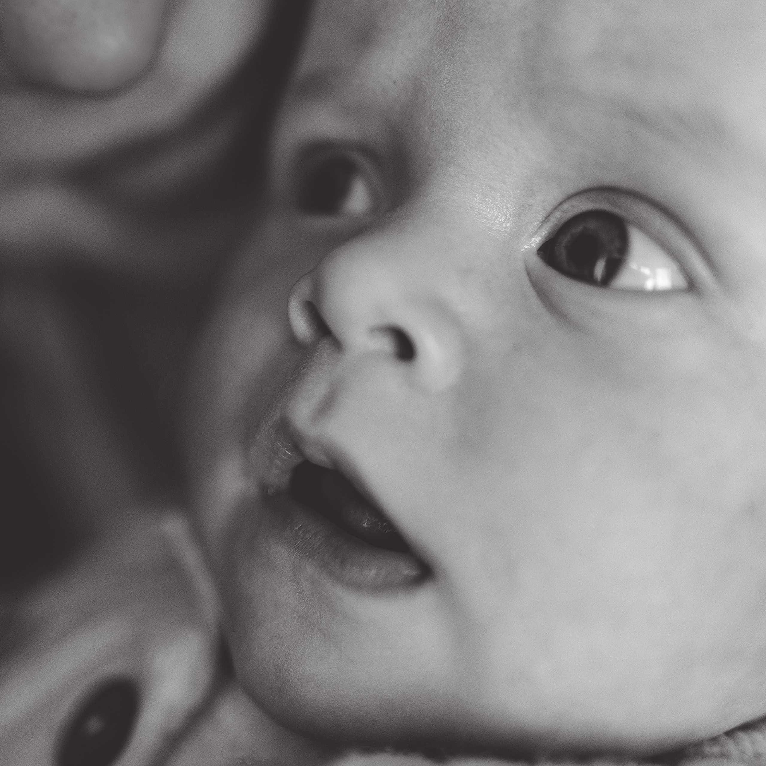 Newborn