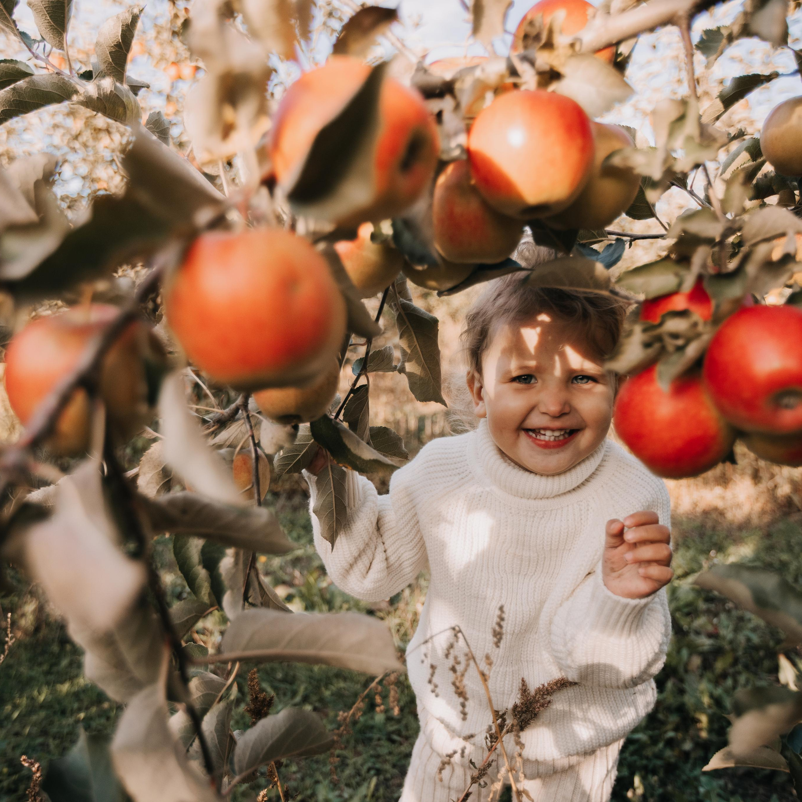 Юля, Уля и яблоки