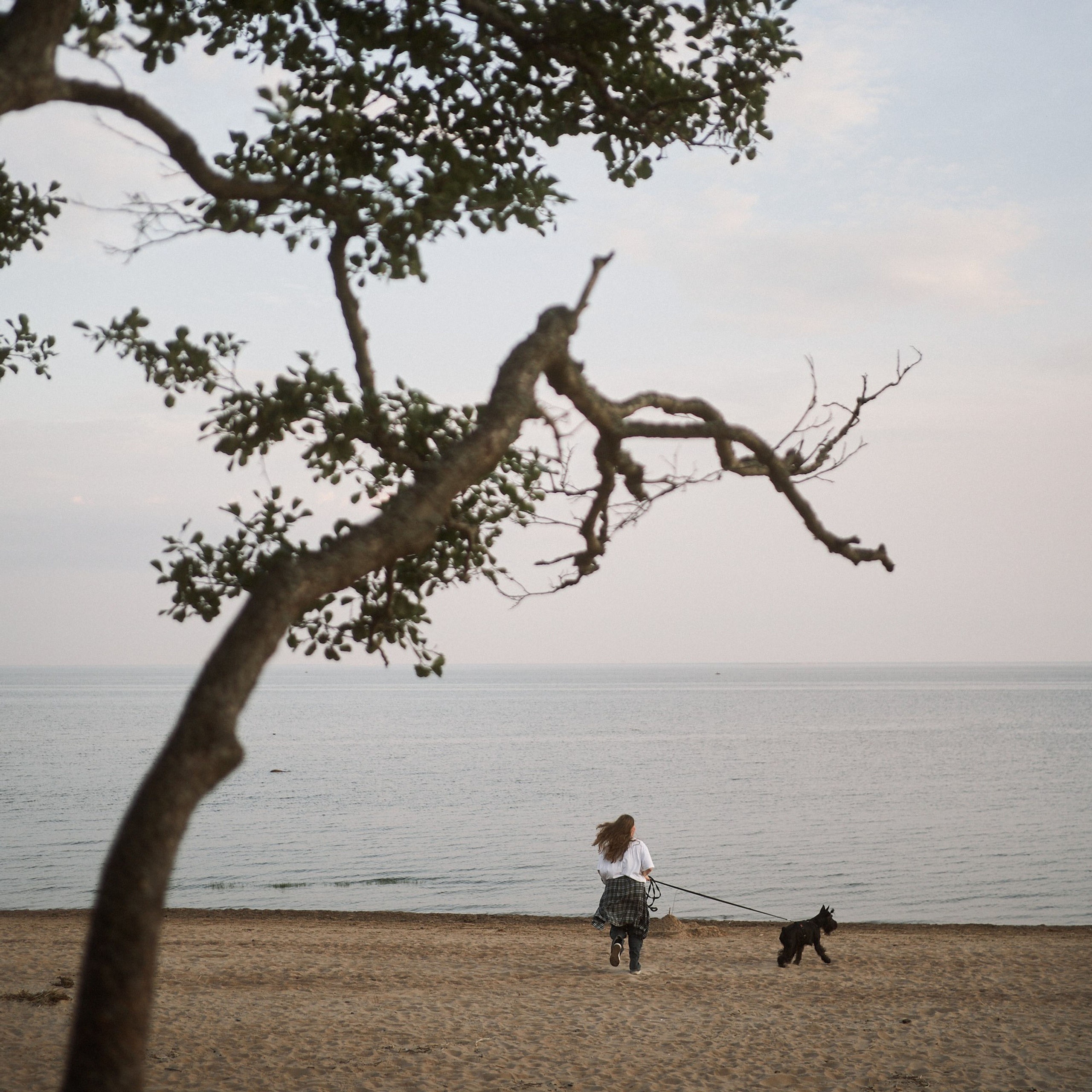 Закат на заливе