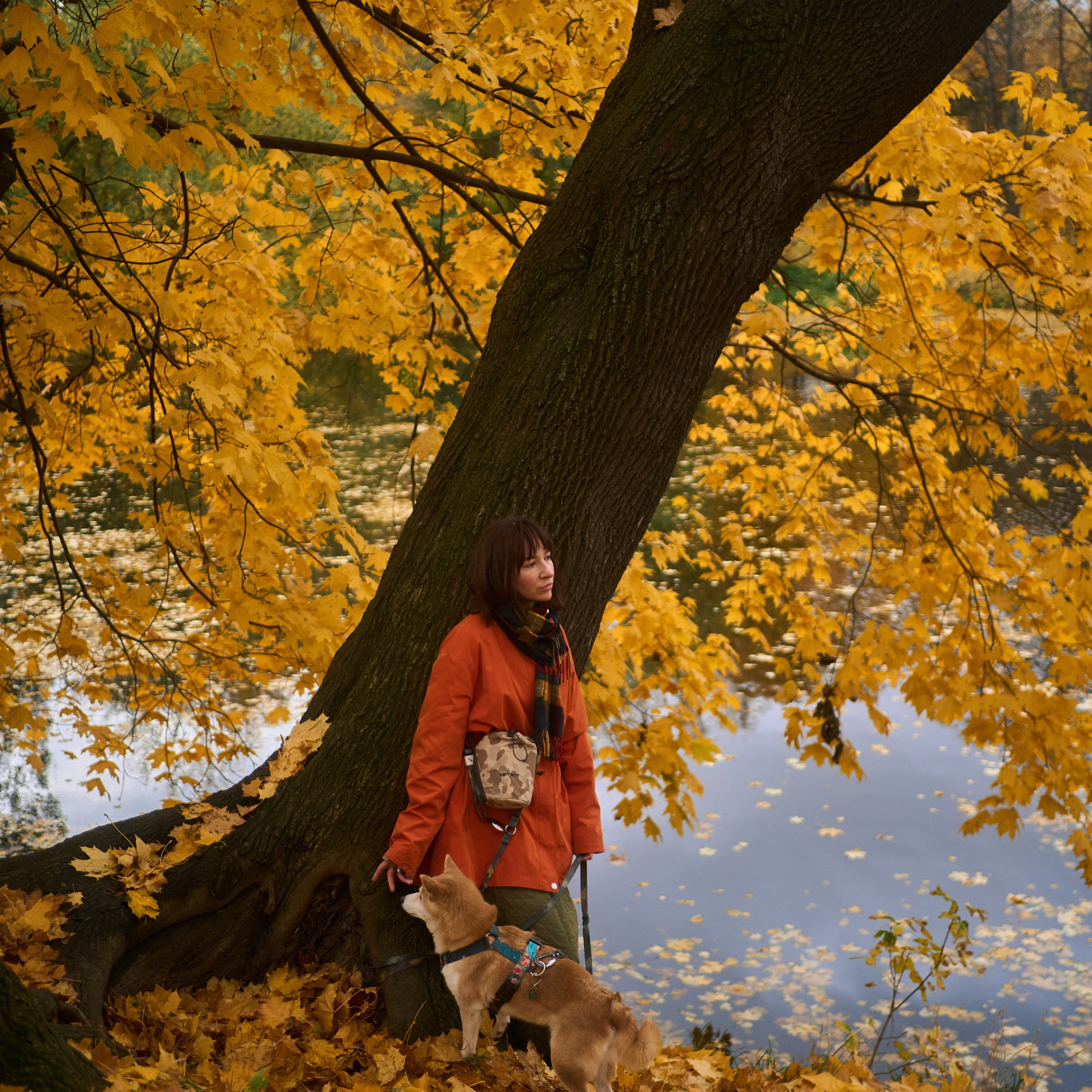 Осенние Уши