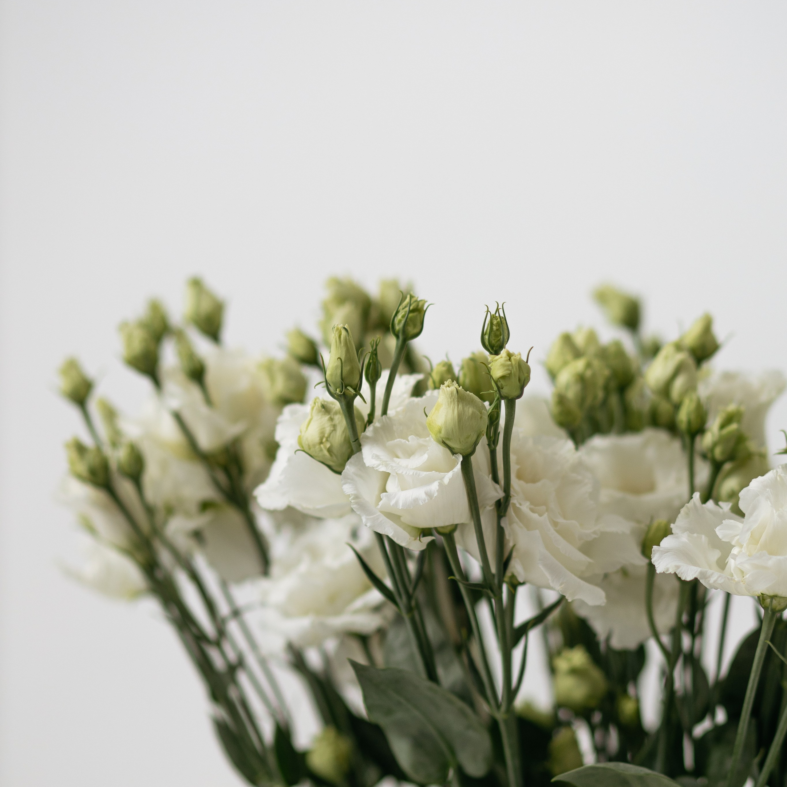 Отзывы. Яна Тихонова — фотограф в Полоцке, Витебске и Минске