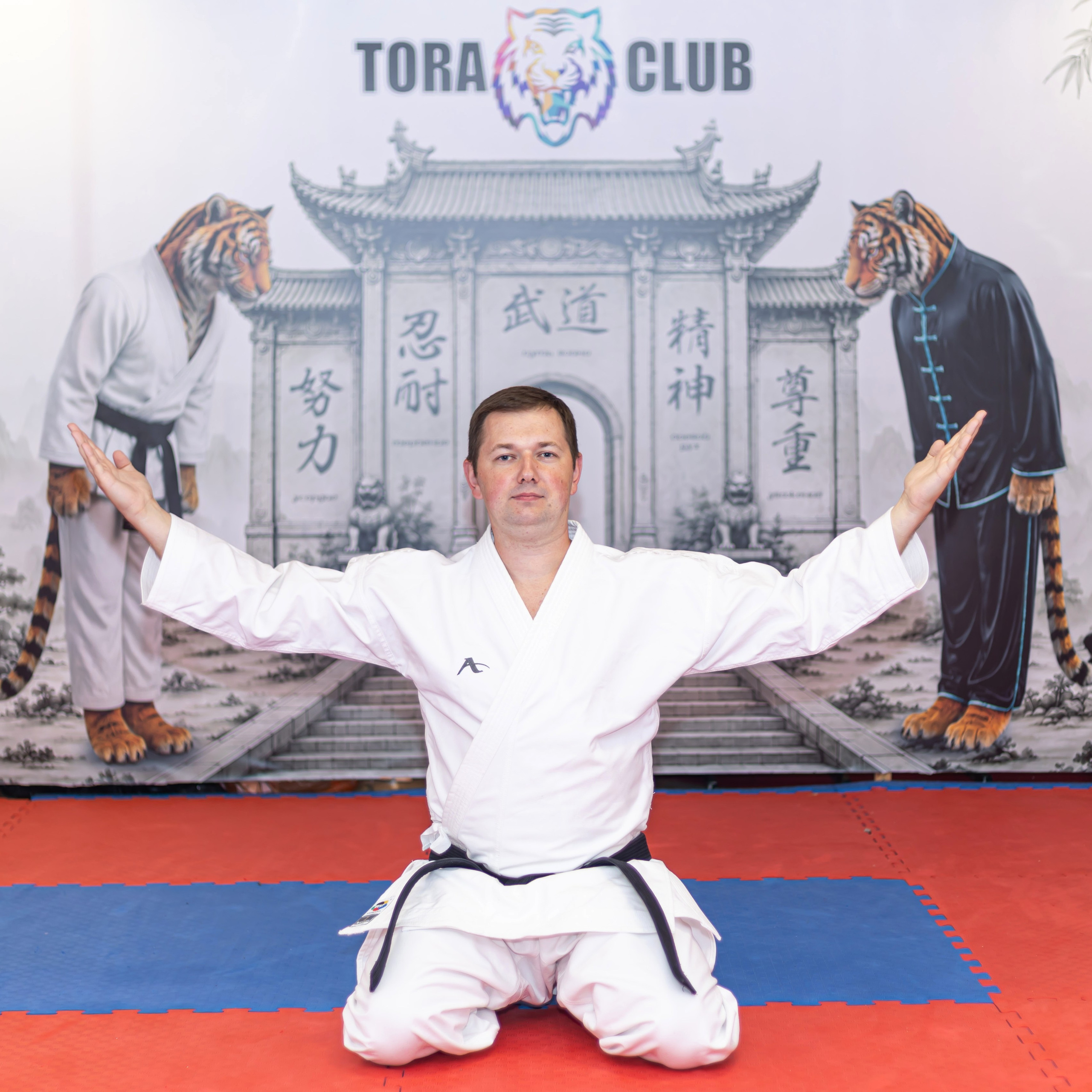 Школа единоборств TORA