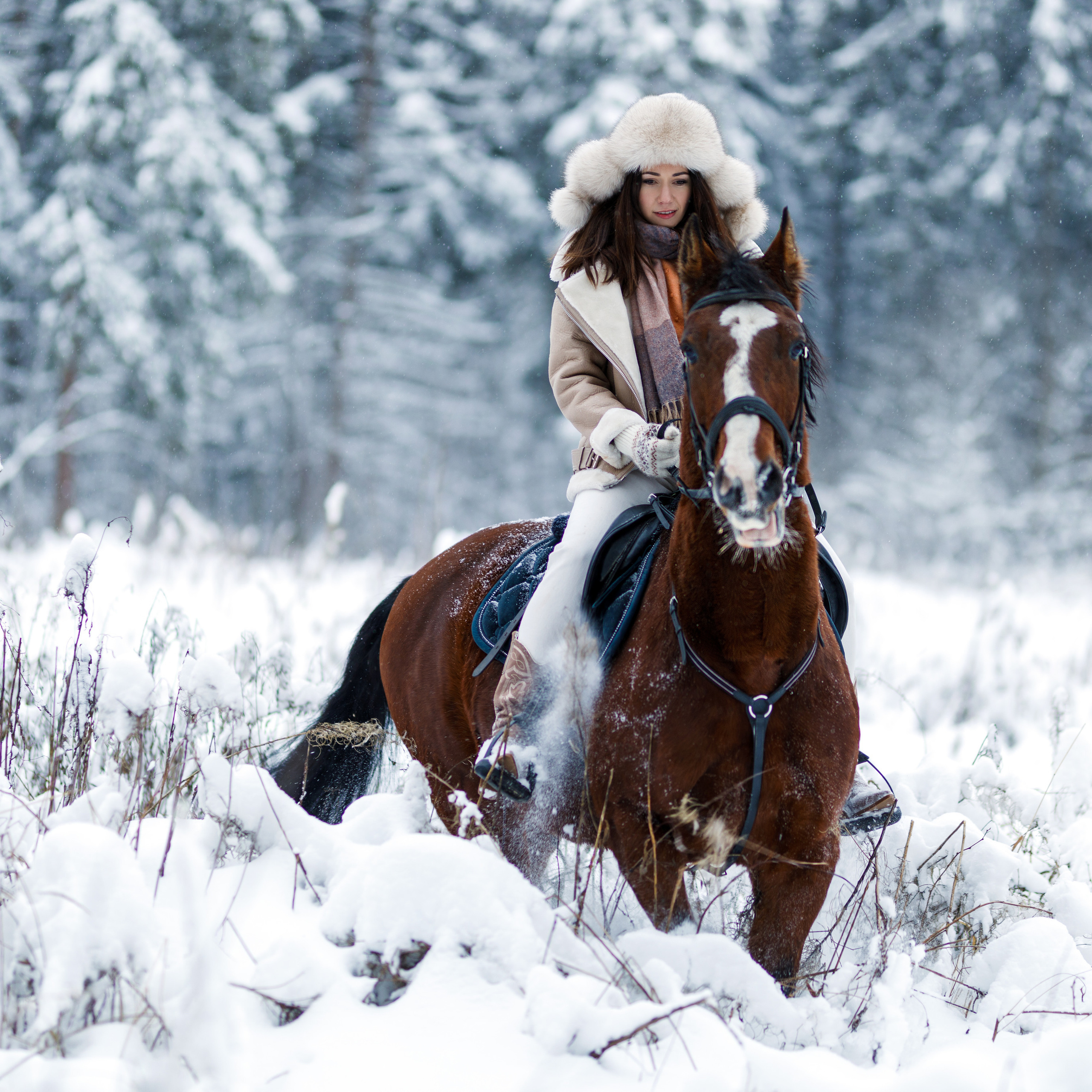 Отзывы. Фотограф в Москве Алёна Гладкова