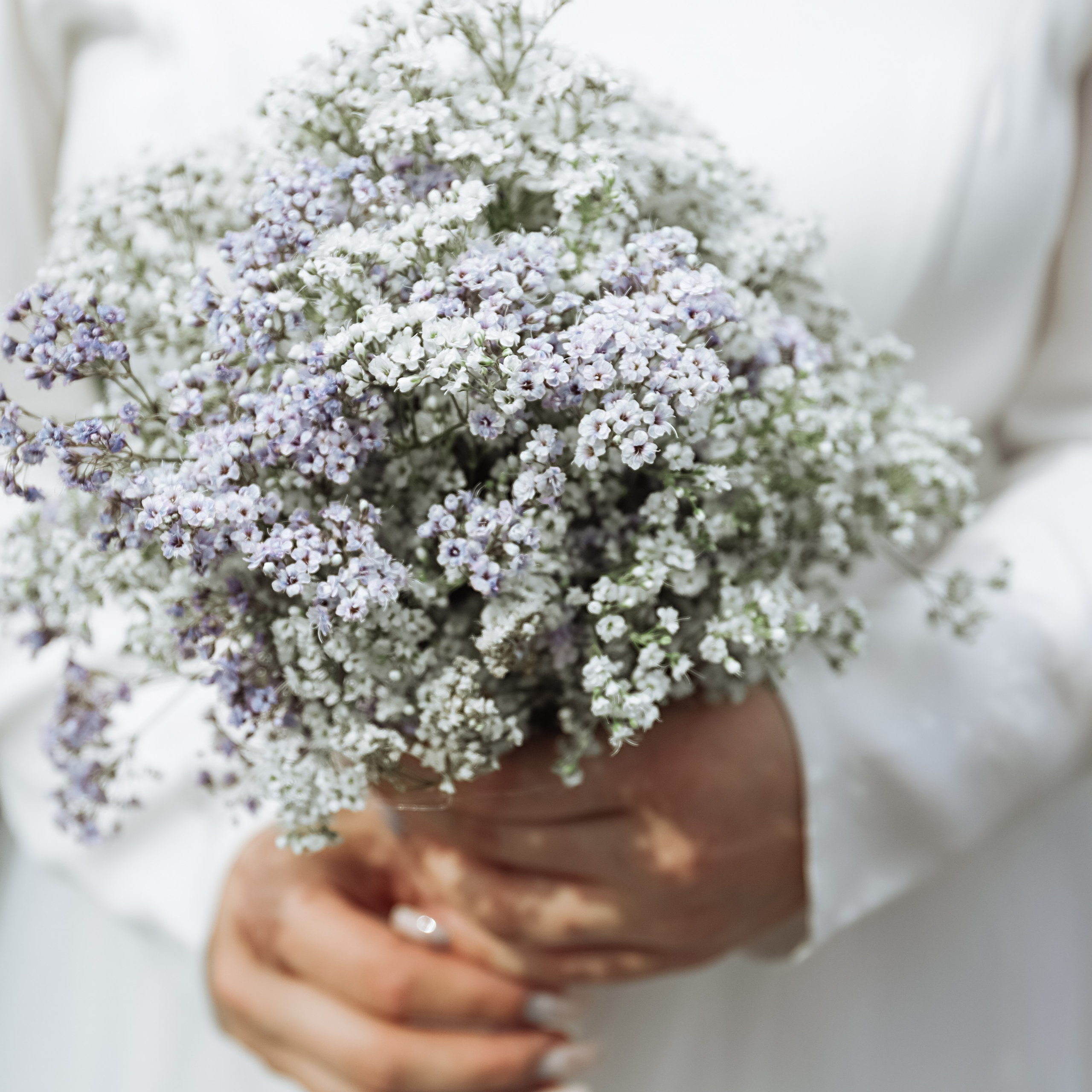 Отзывы. Алина Малышева, свадебный и семейный фотограф Москва