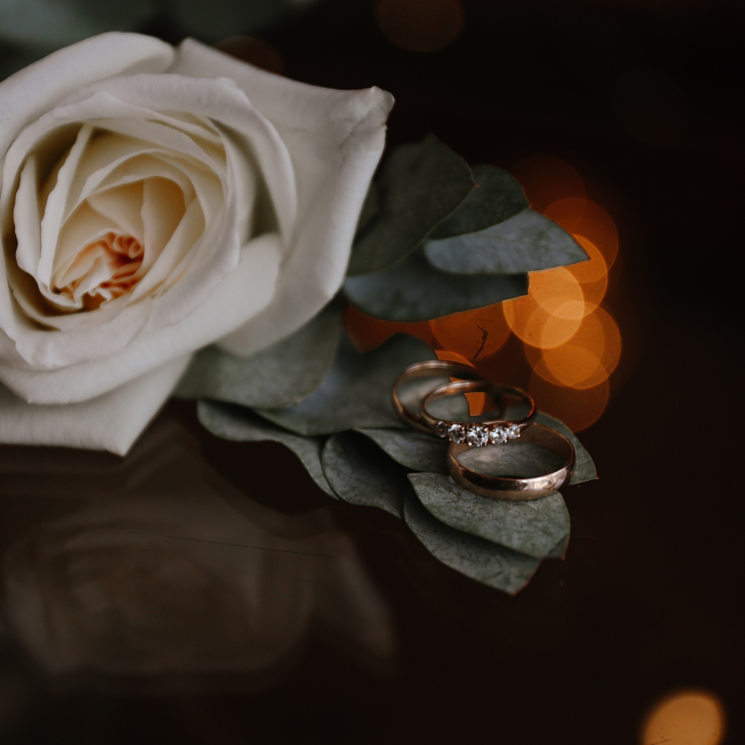 Отзывы. Алина Малышева, свадебный и семейный фотограф Москва