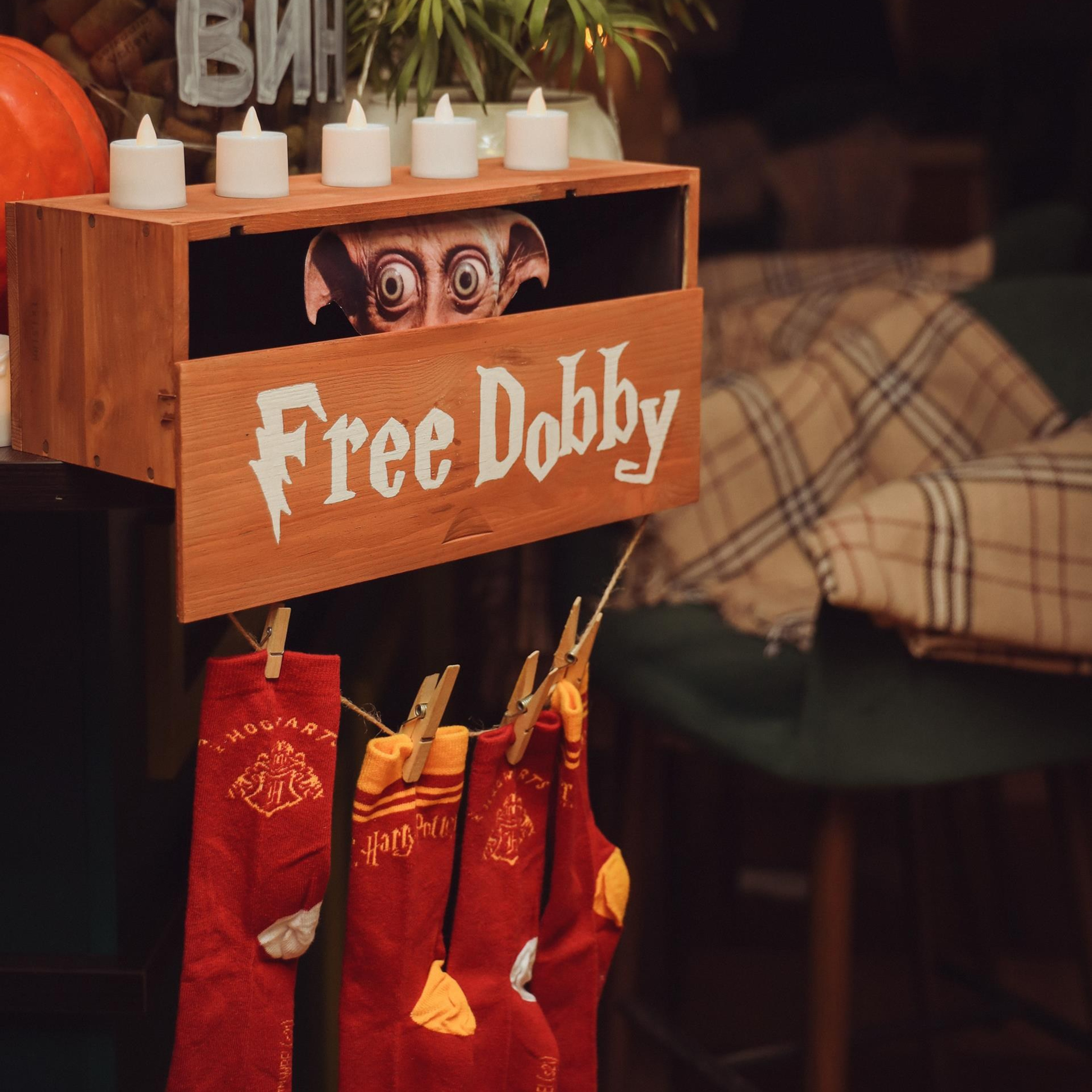 A Harry Potter party