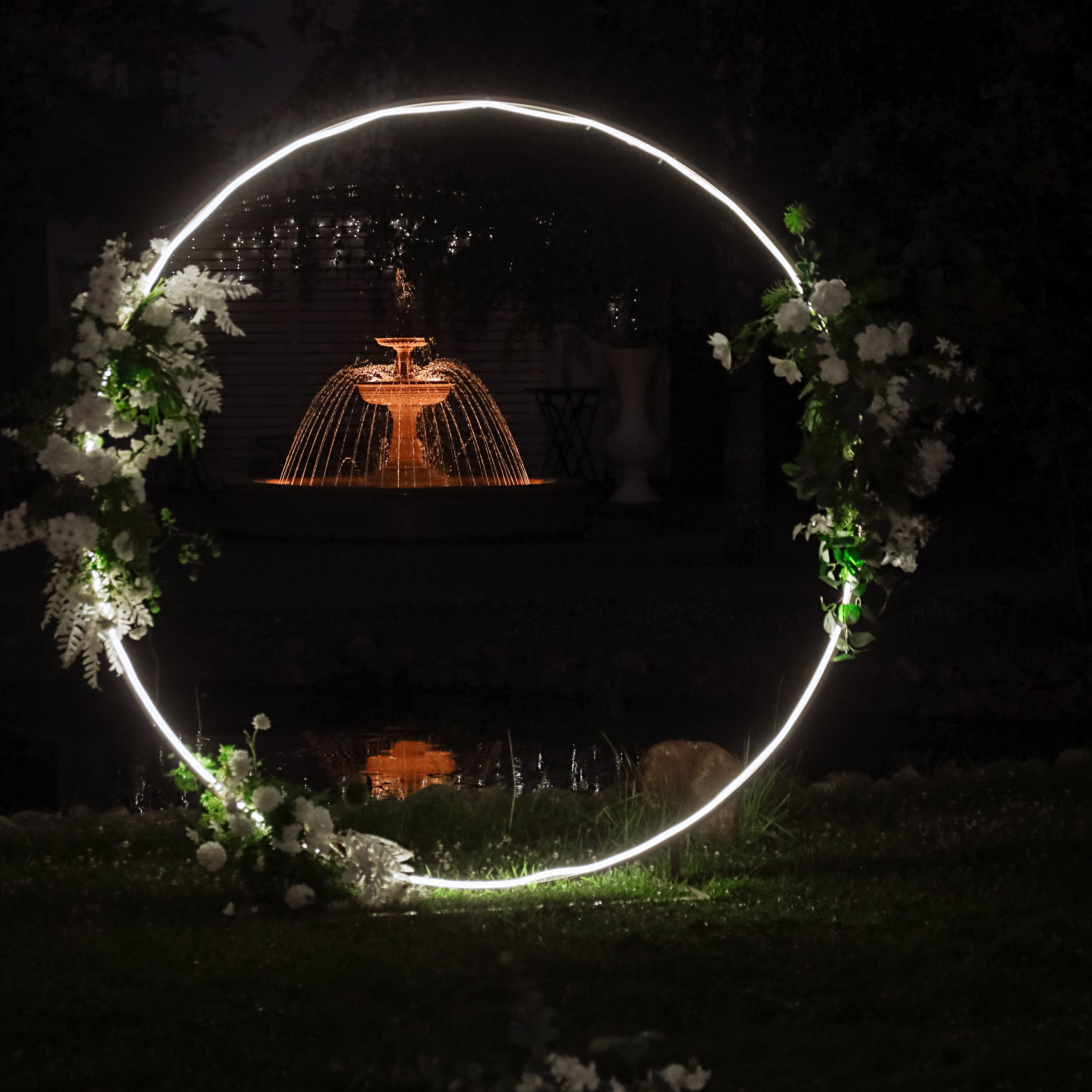 Отзывы. Алина Малышева, свадебный и семейный фотограф Москва