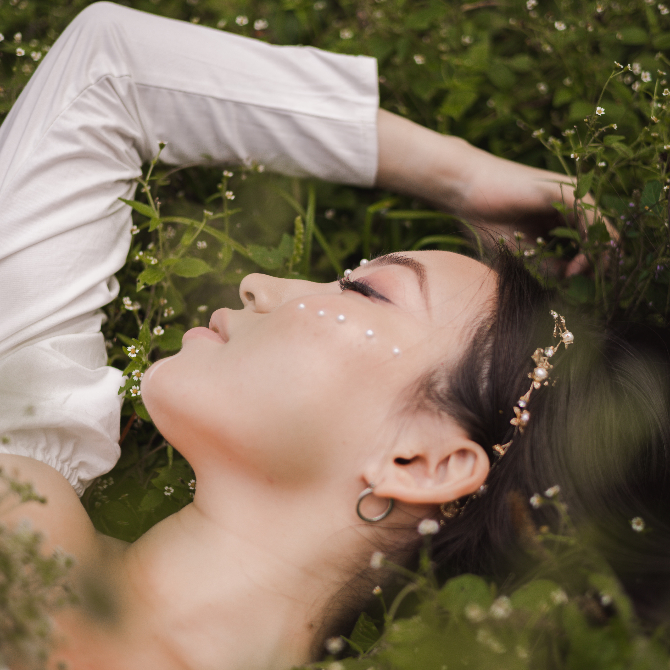 ЛЕСНАЯ ИСТОРИЯ