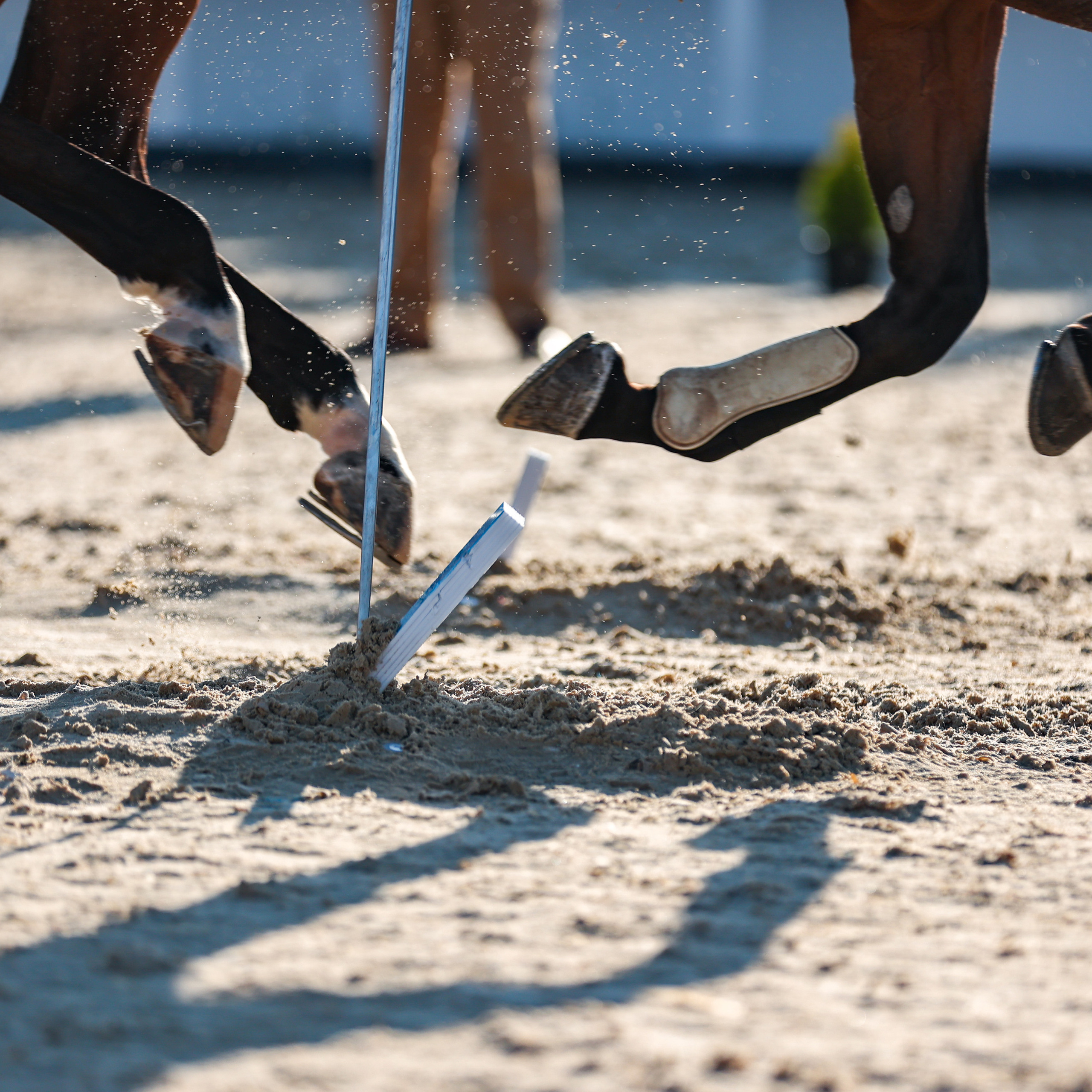 Отзывы. Фотограф Юлия Калинина