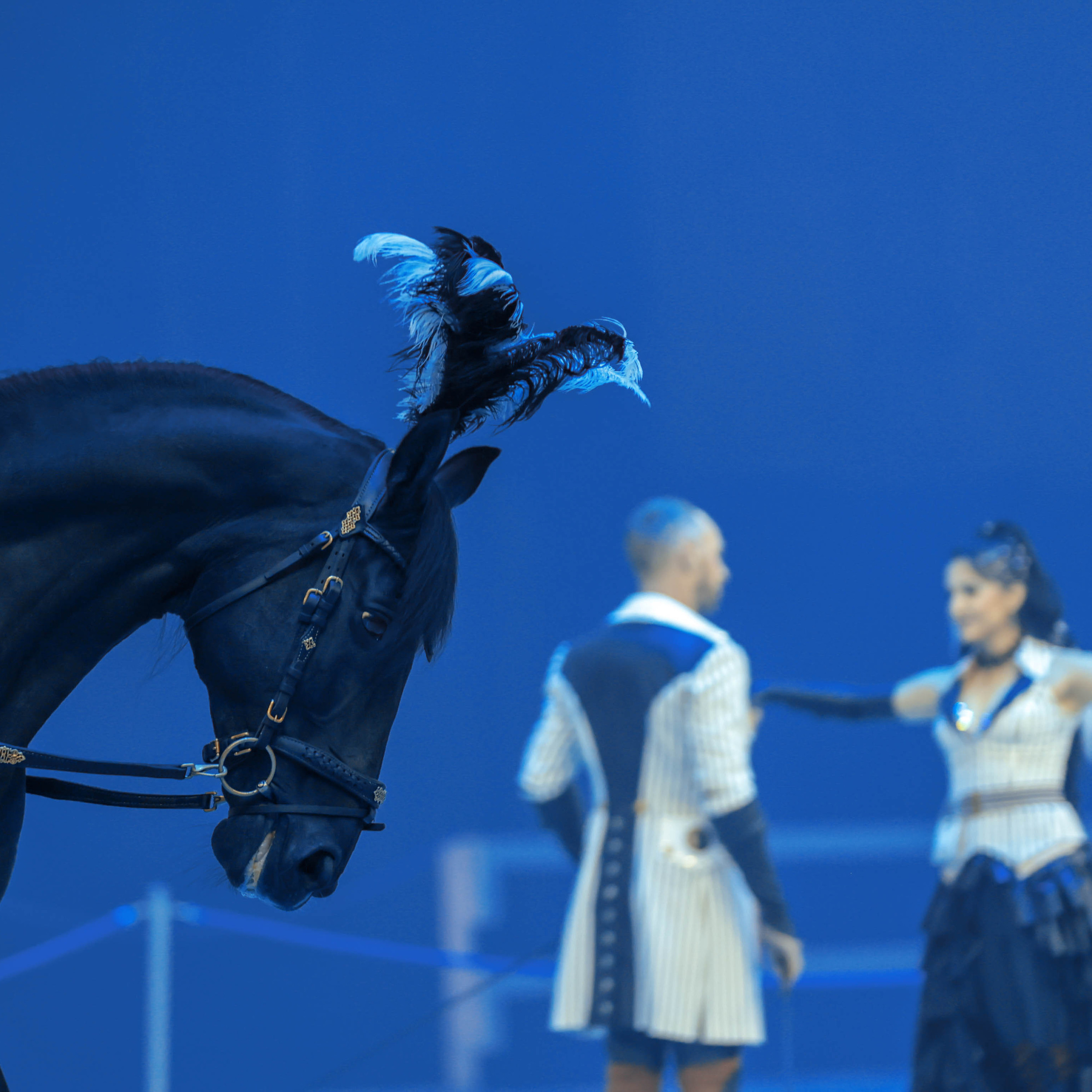 Отзывы. Фотограф Юлия Калинина