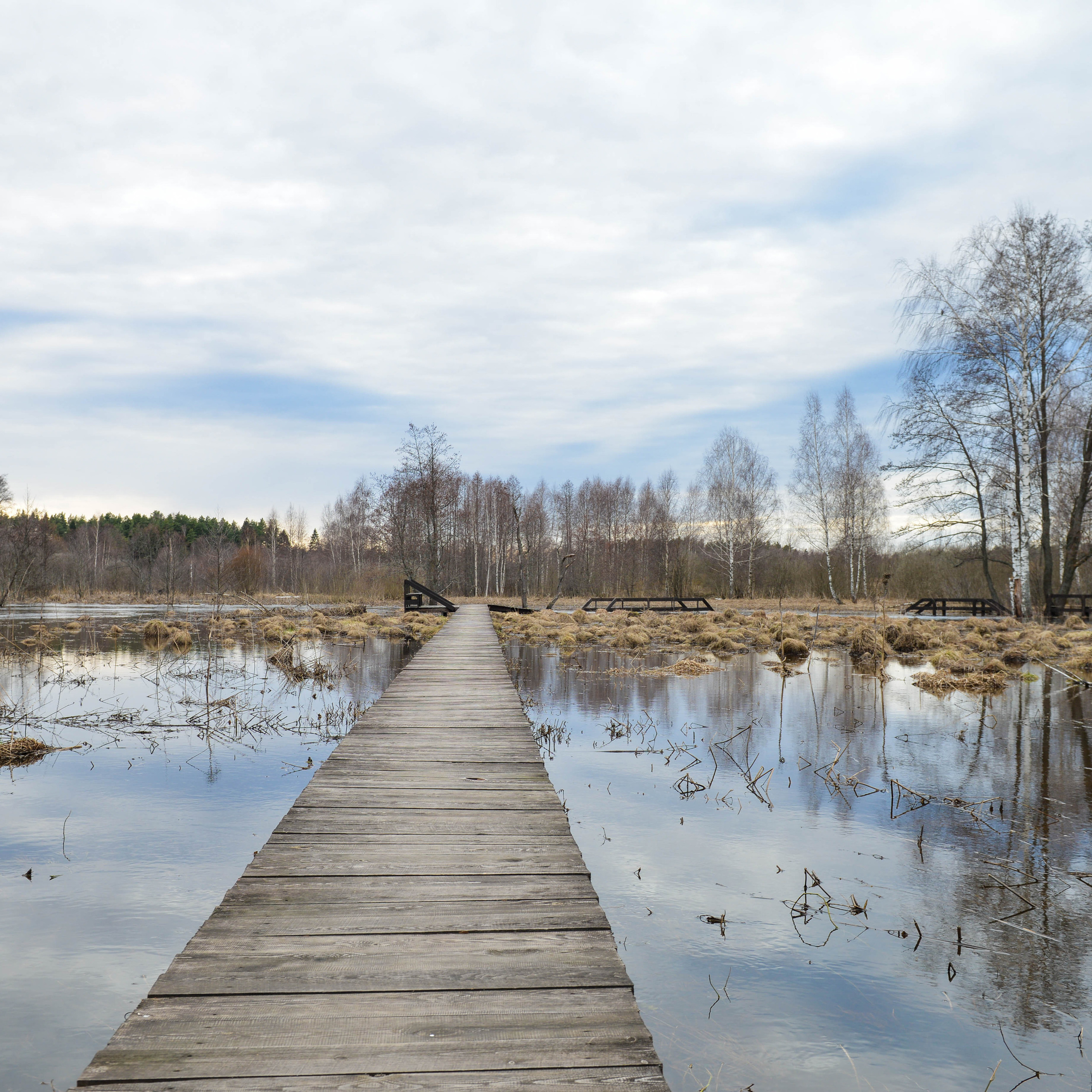Отзывы. Семейный и свадебный фотограф в Москве и Подмосковье Еремина Александр