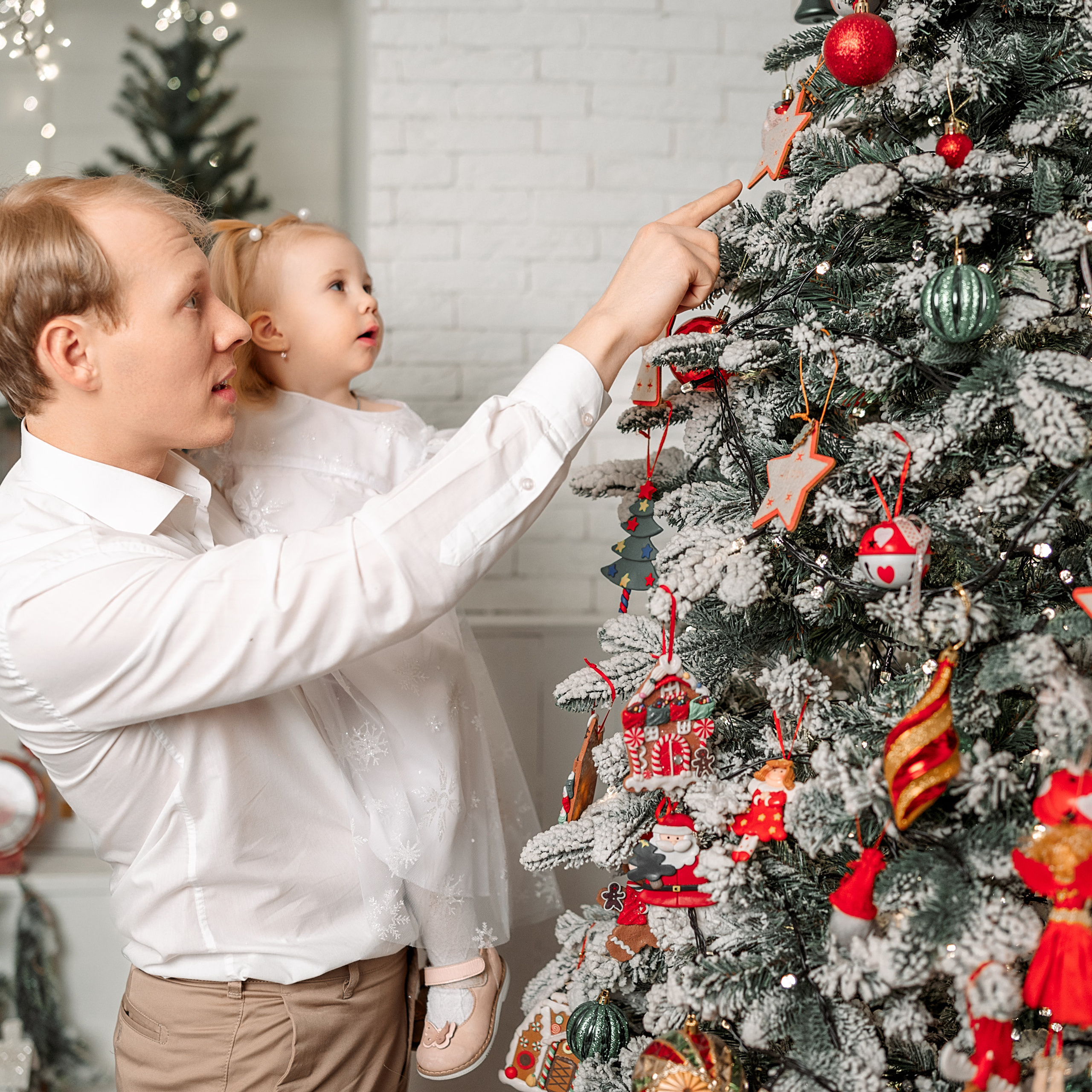 Семья Забоевых