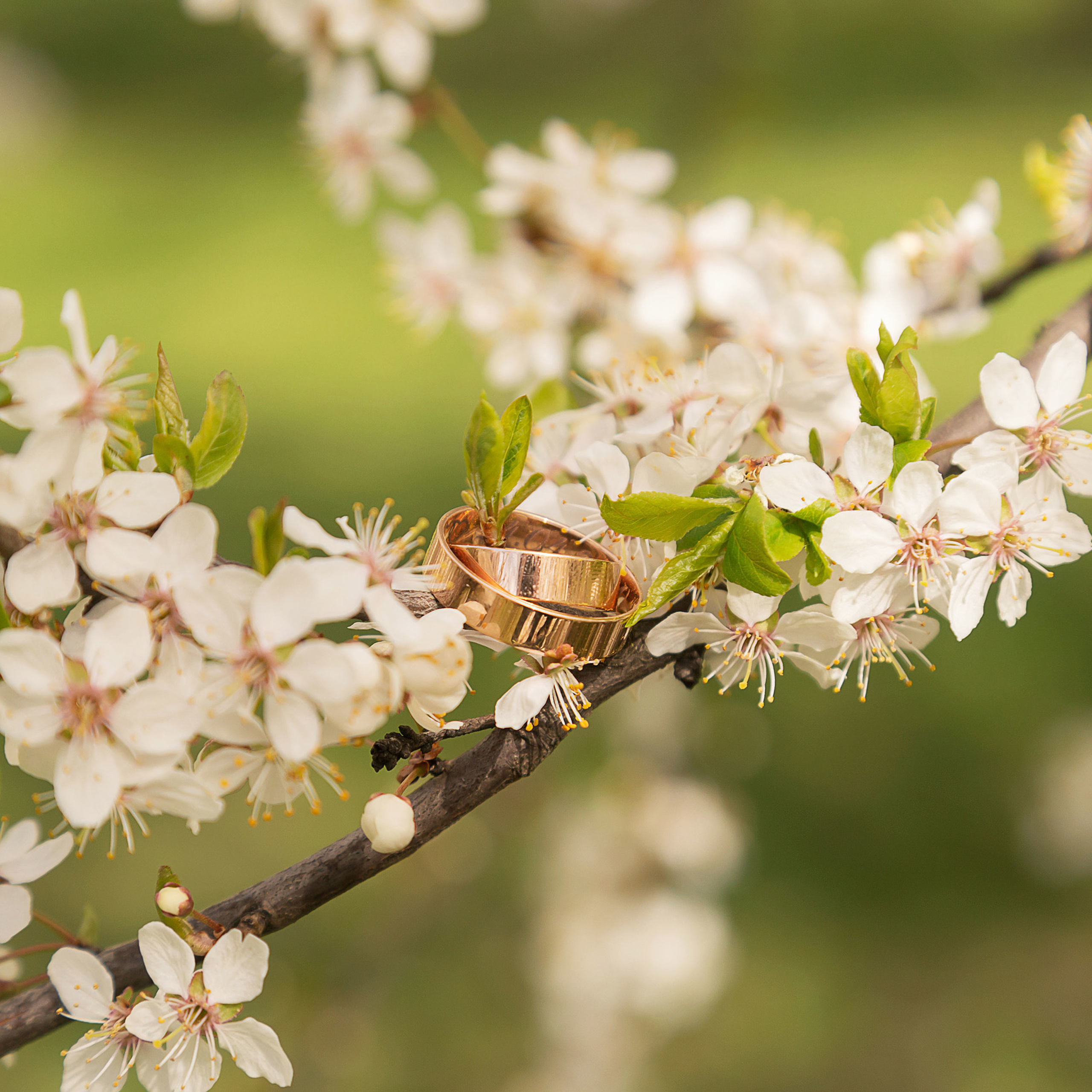Блог. Свадебный фотограф
