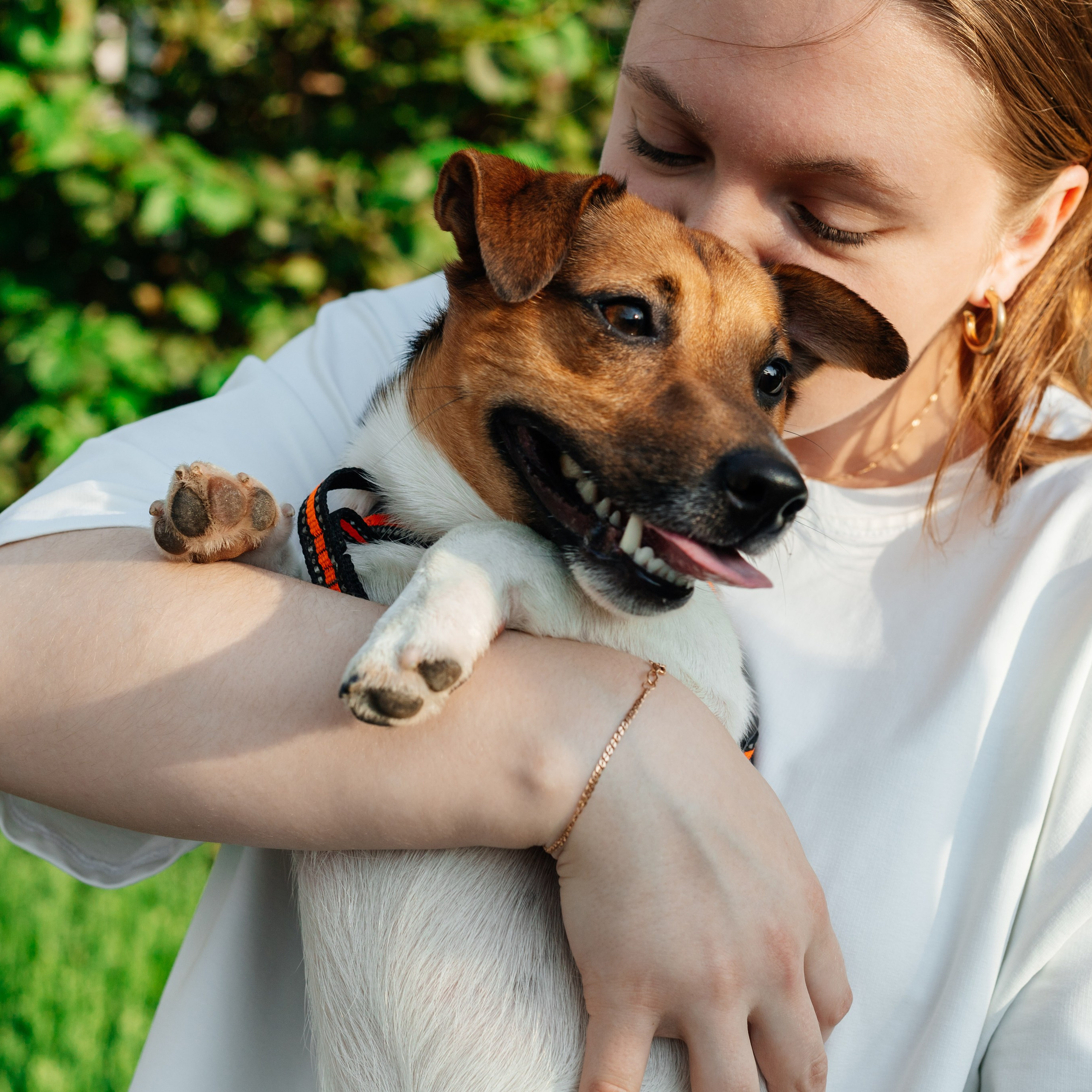 Семья Новиковых