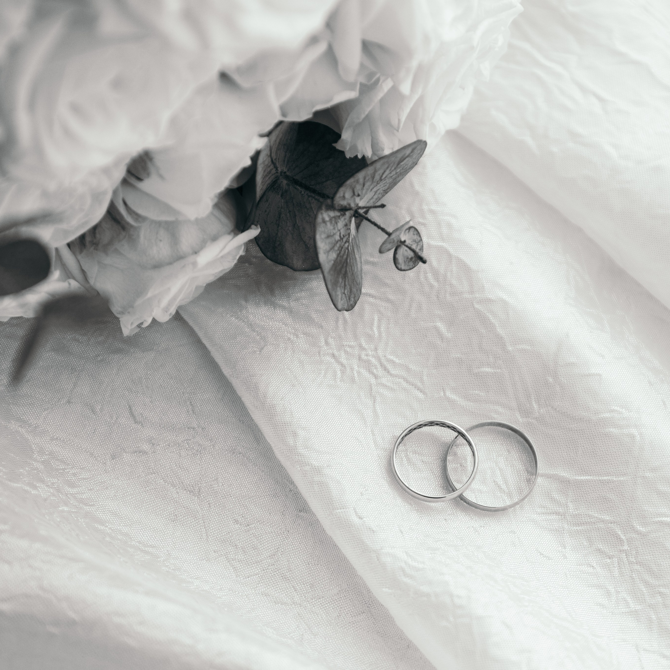 Елизавета и Данил