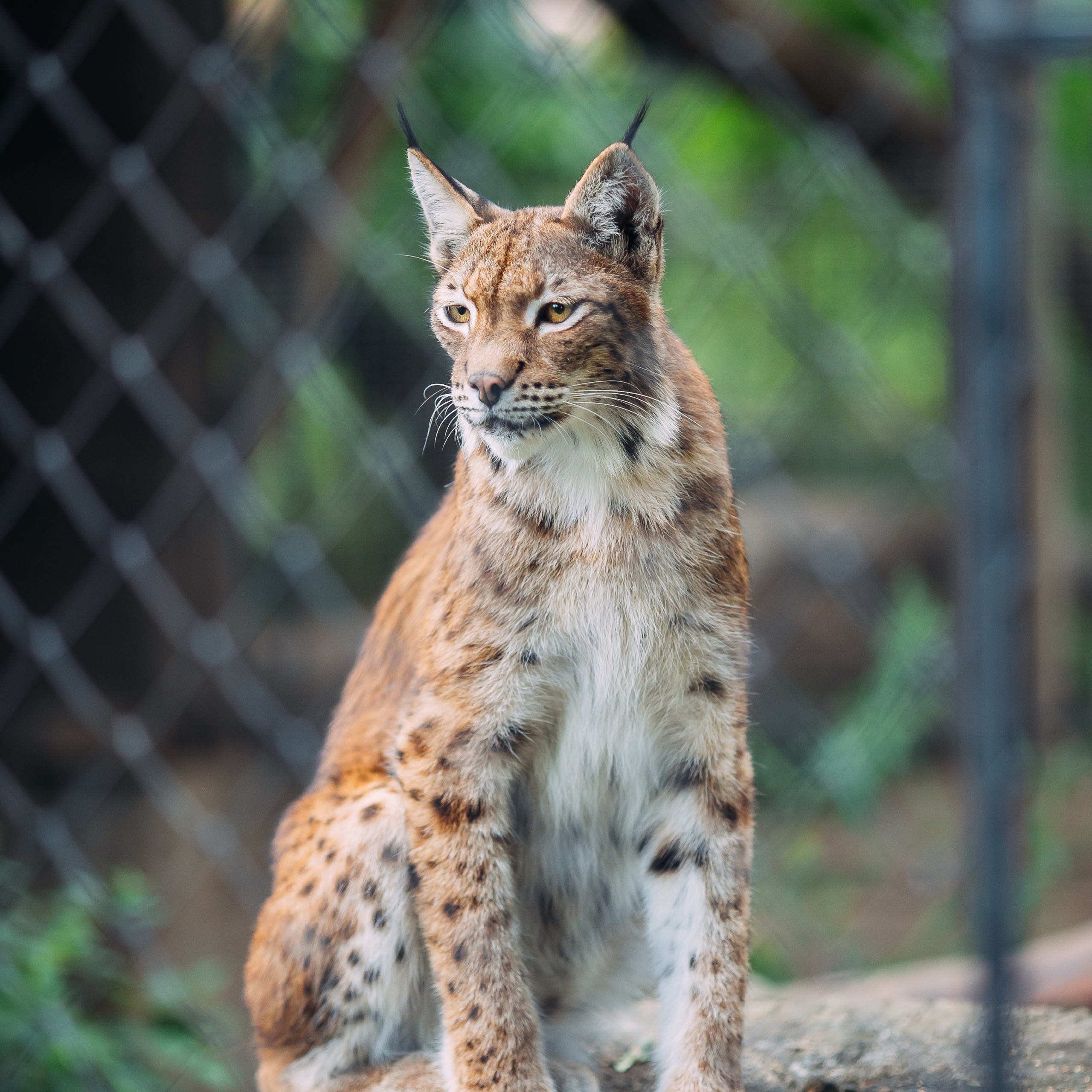 Отзывы. Семейный и детский фотограф в Пскове и Санкт-Петербурге Яна Калинина