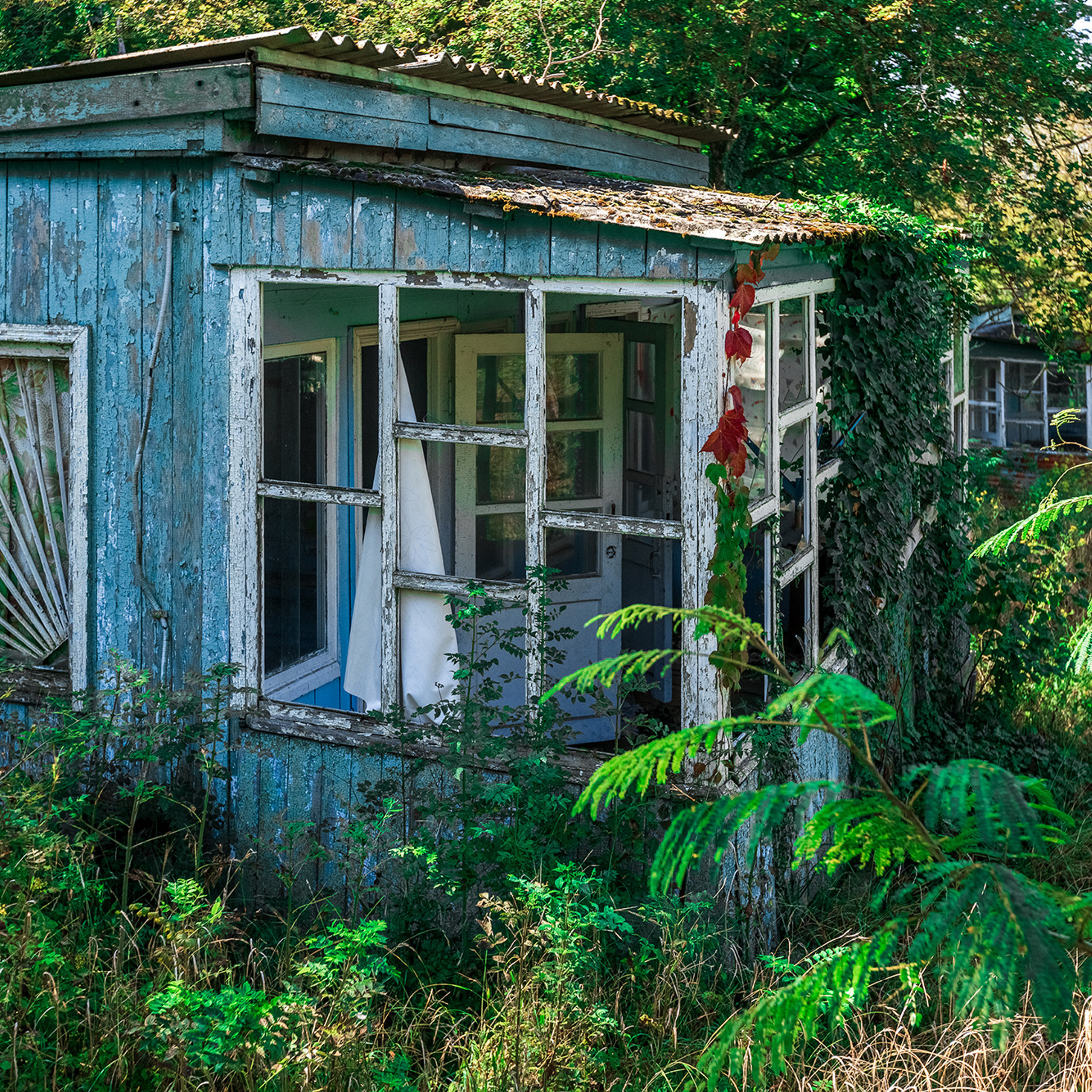 Заброшенная база отдыха в селе Архипо-Осиповка