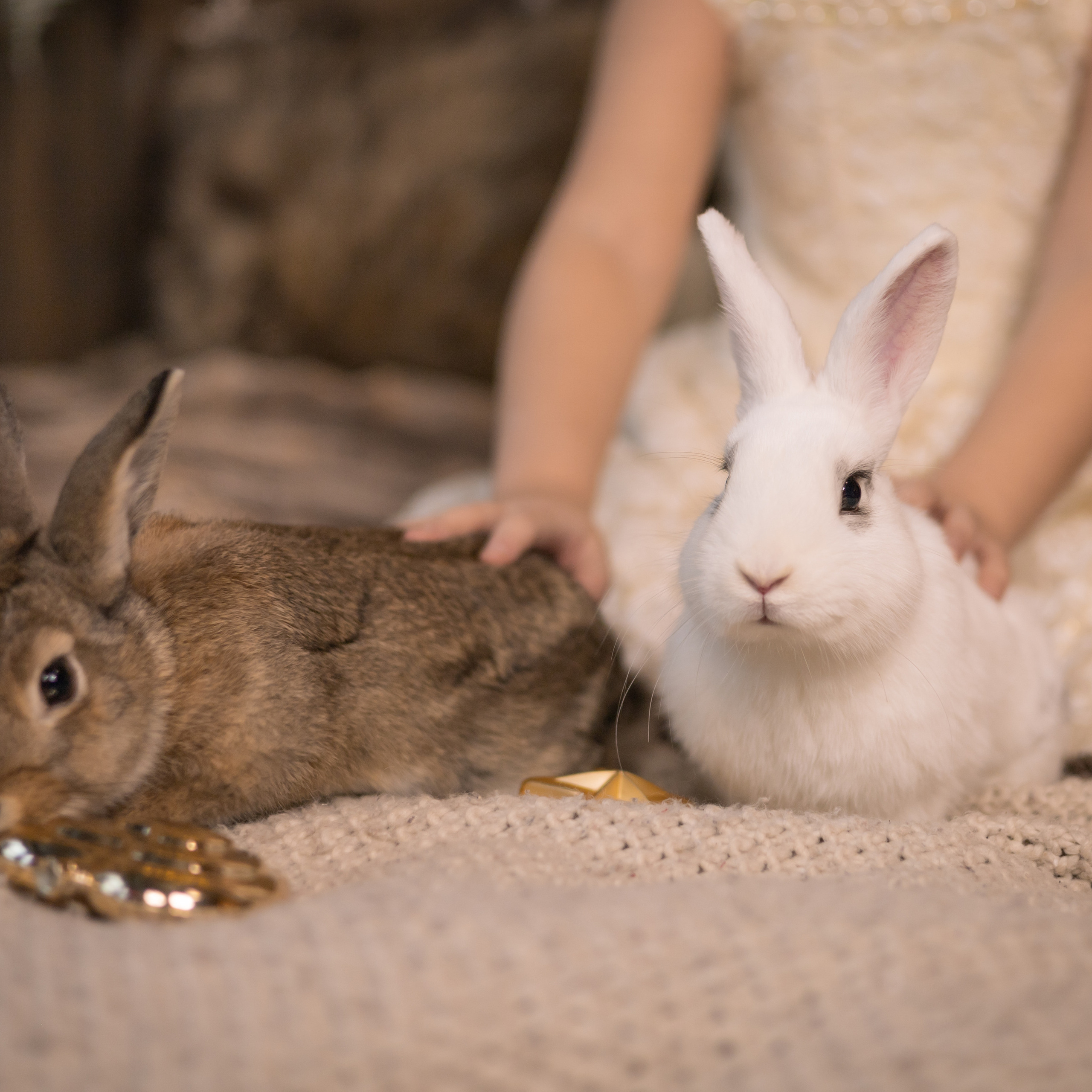 Отзывы. Фотограф в Калуге Светлана Нефедова