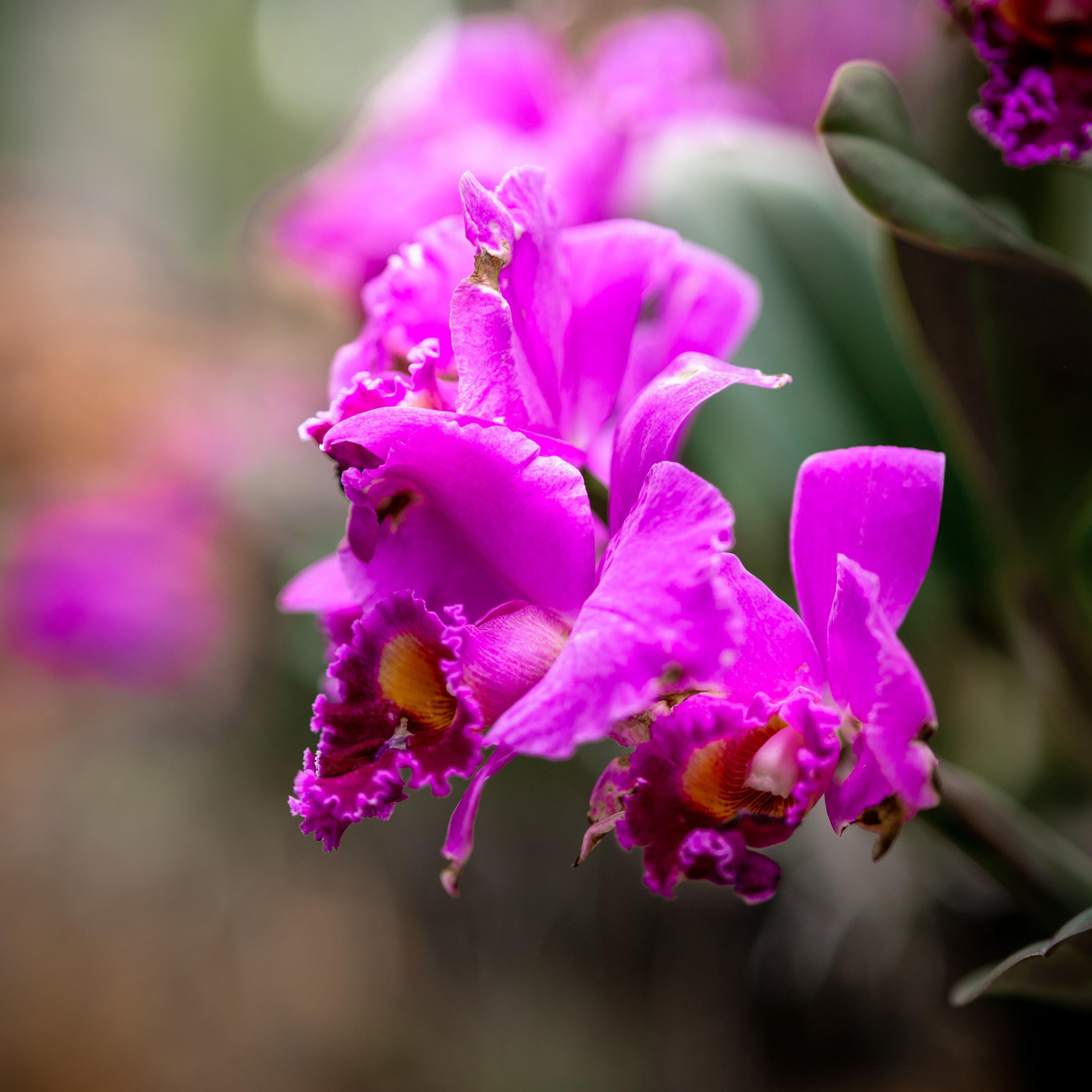 Отзывы. Фотограф в Калуге Светлана Нефедова