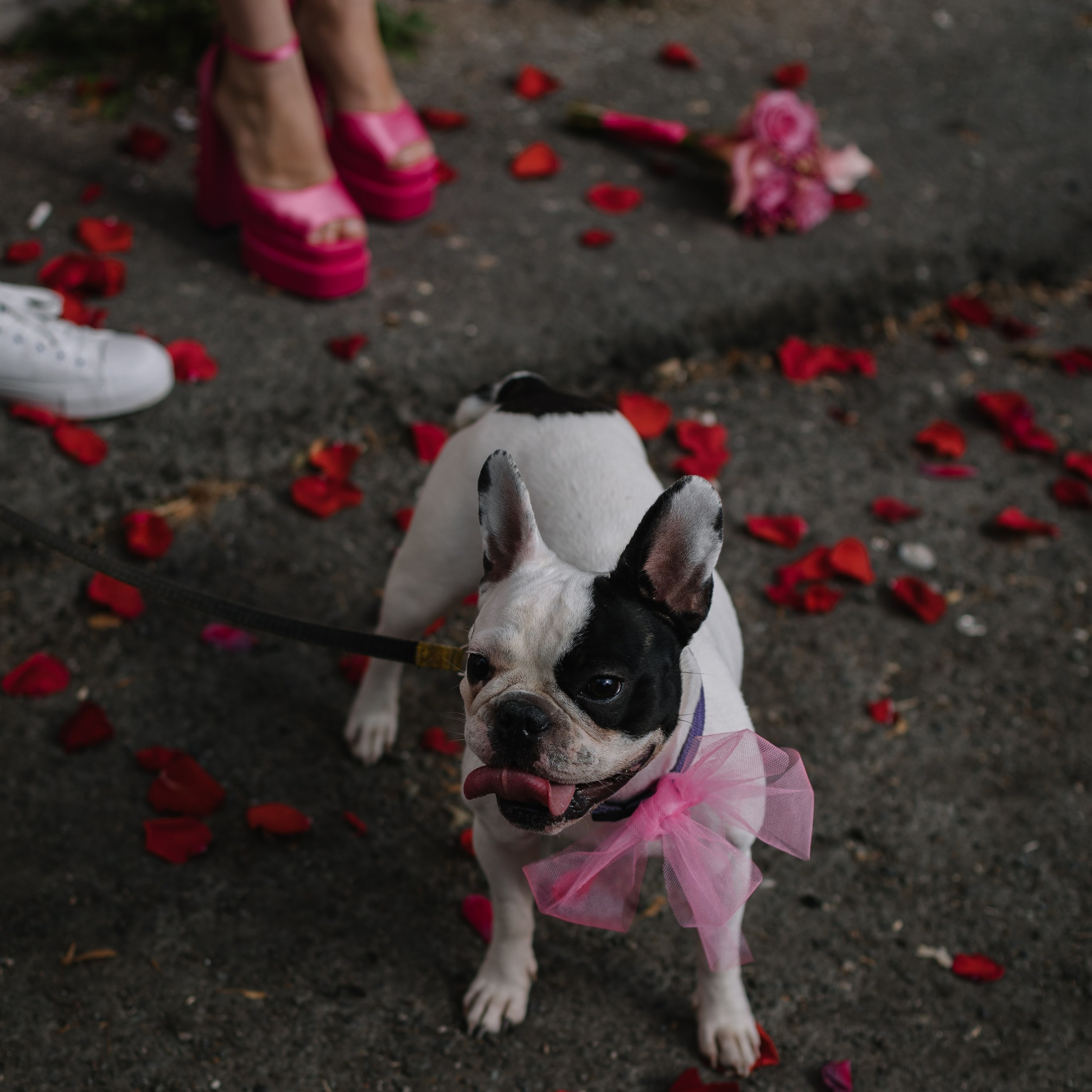 Алина и&nbsp;Борис ЗАГС