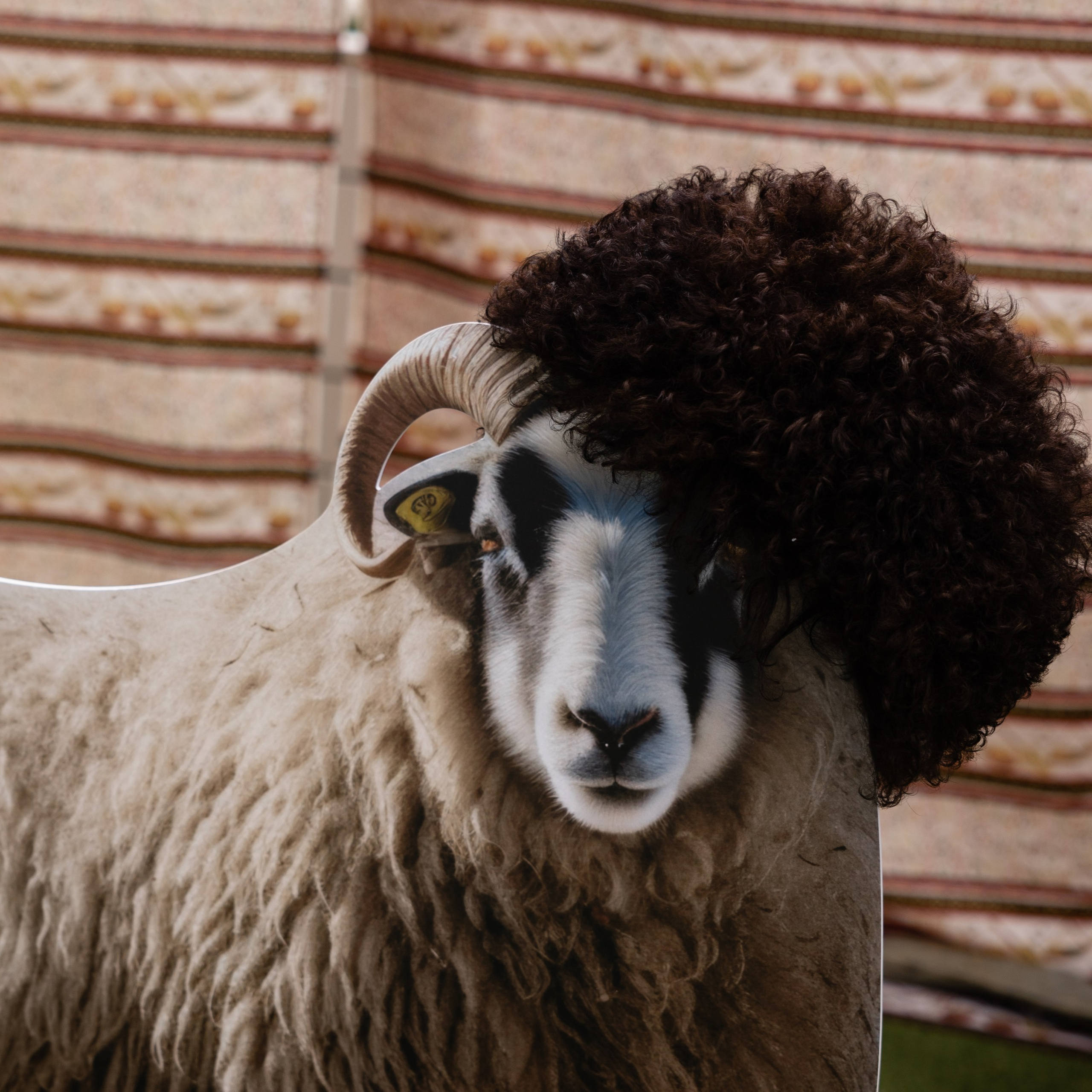 Свадьба Андрея и Ксении. Event-агентство «Апельсин» Ижевск