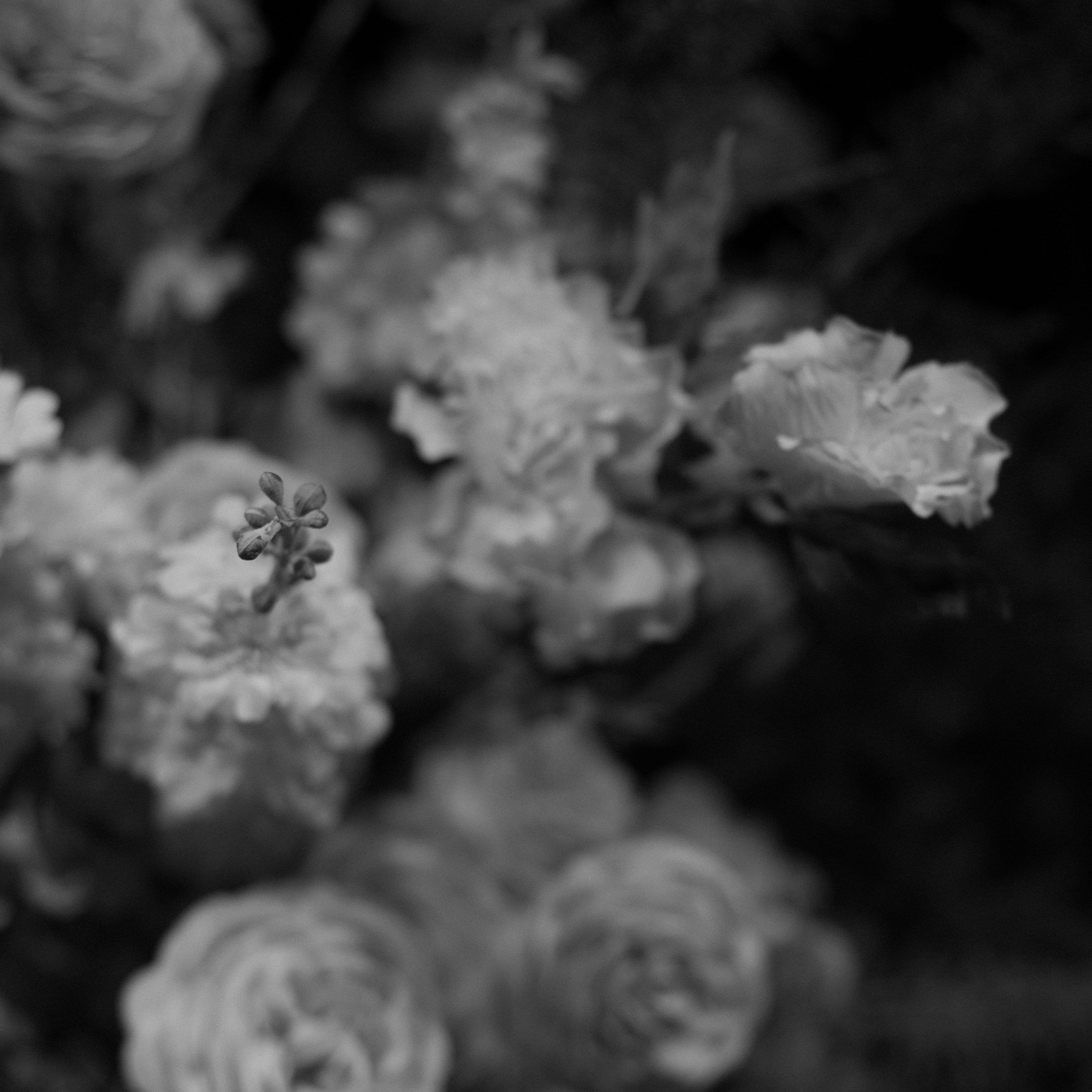 Свадьба Максима и Екатерины. Event-агентство «Апельсин» Ижевск