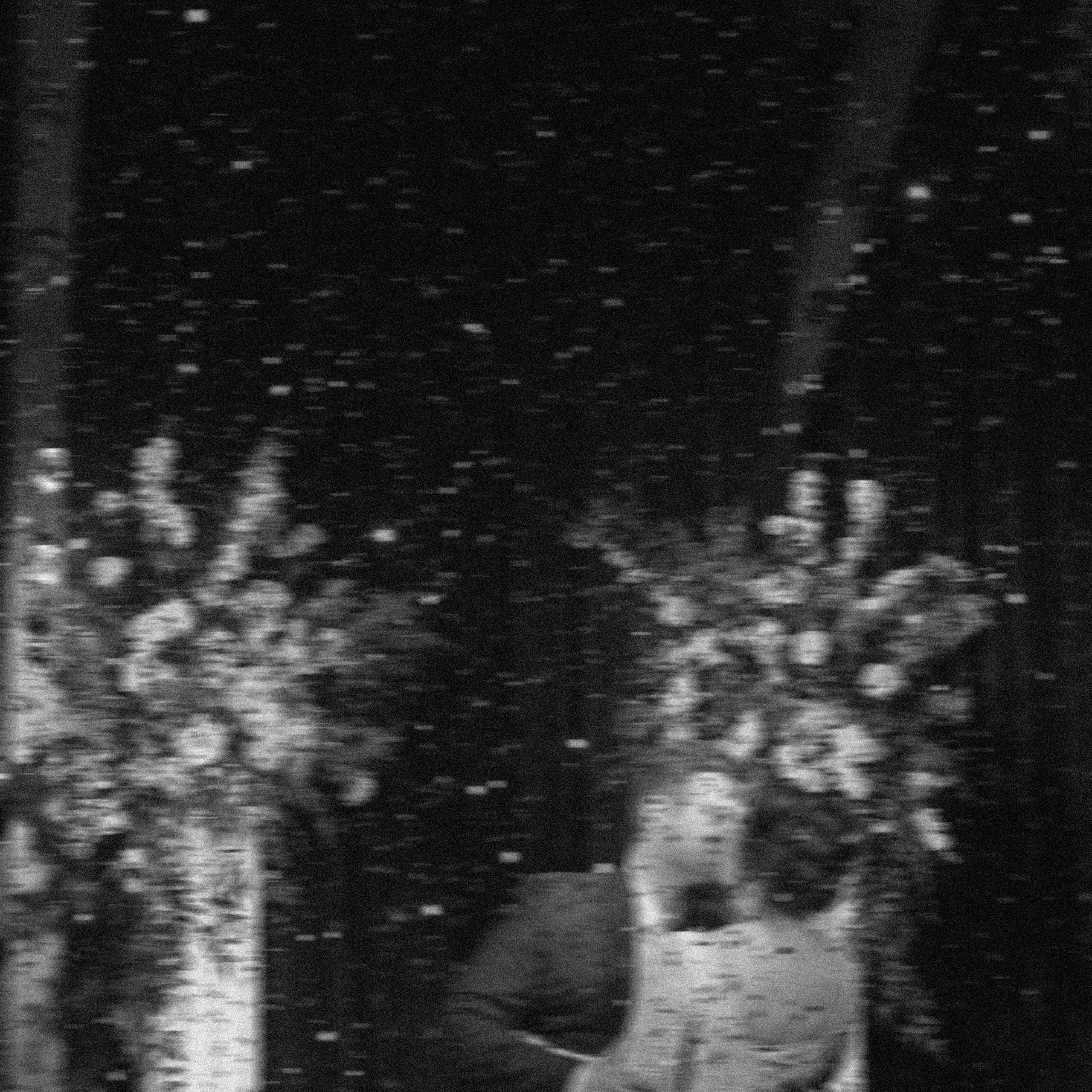 Свадьба Максима и Екатерины. Event-агентство «Апельсин» Ижевск