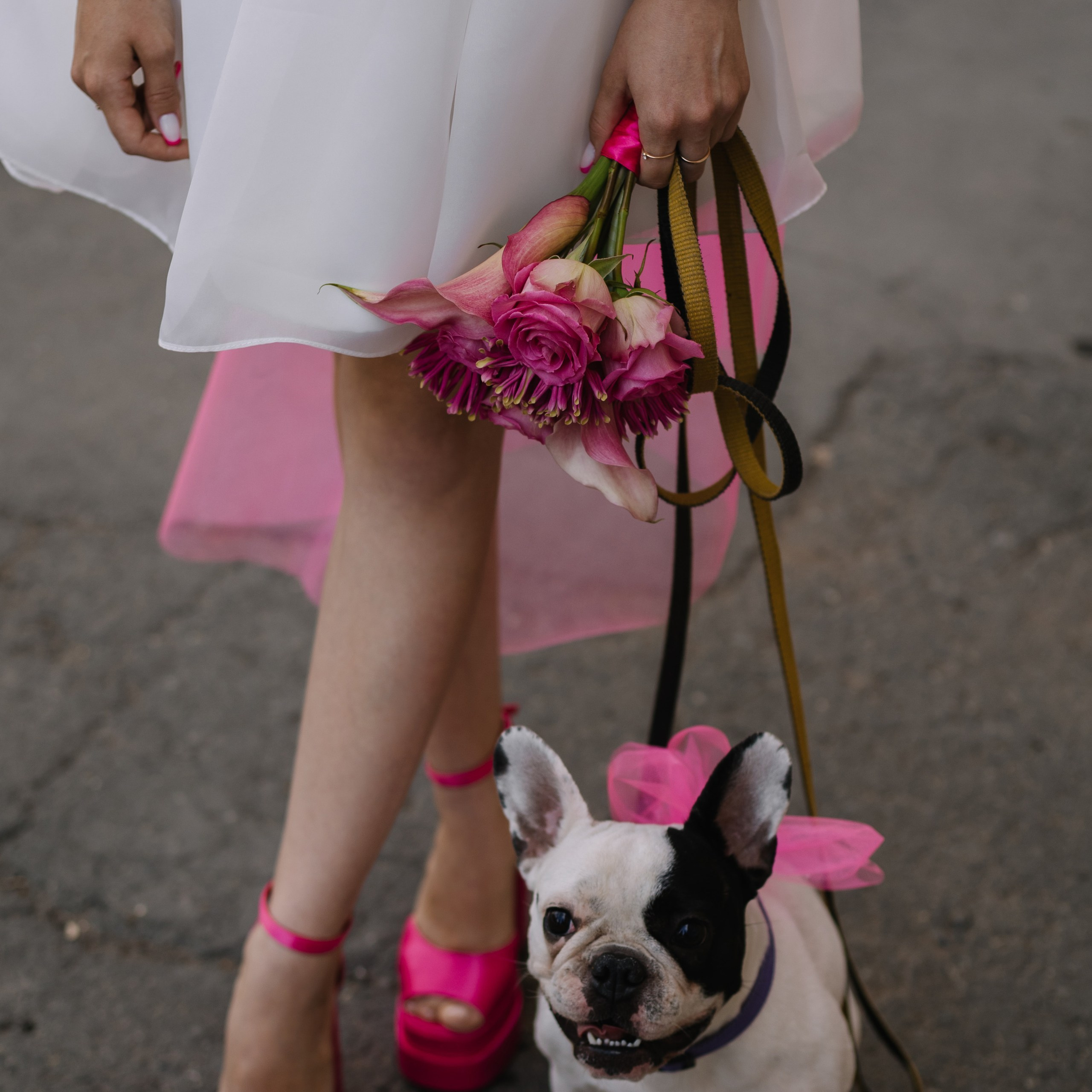 Алина и Борис ЗАГС. Event-агентство «Апельсин» Ижевск