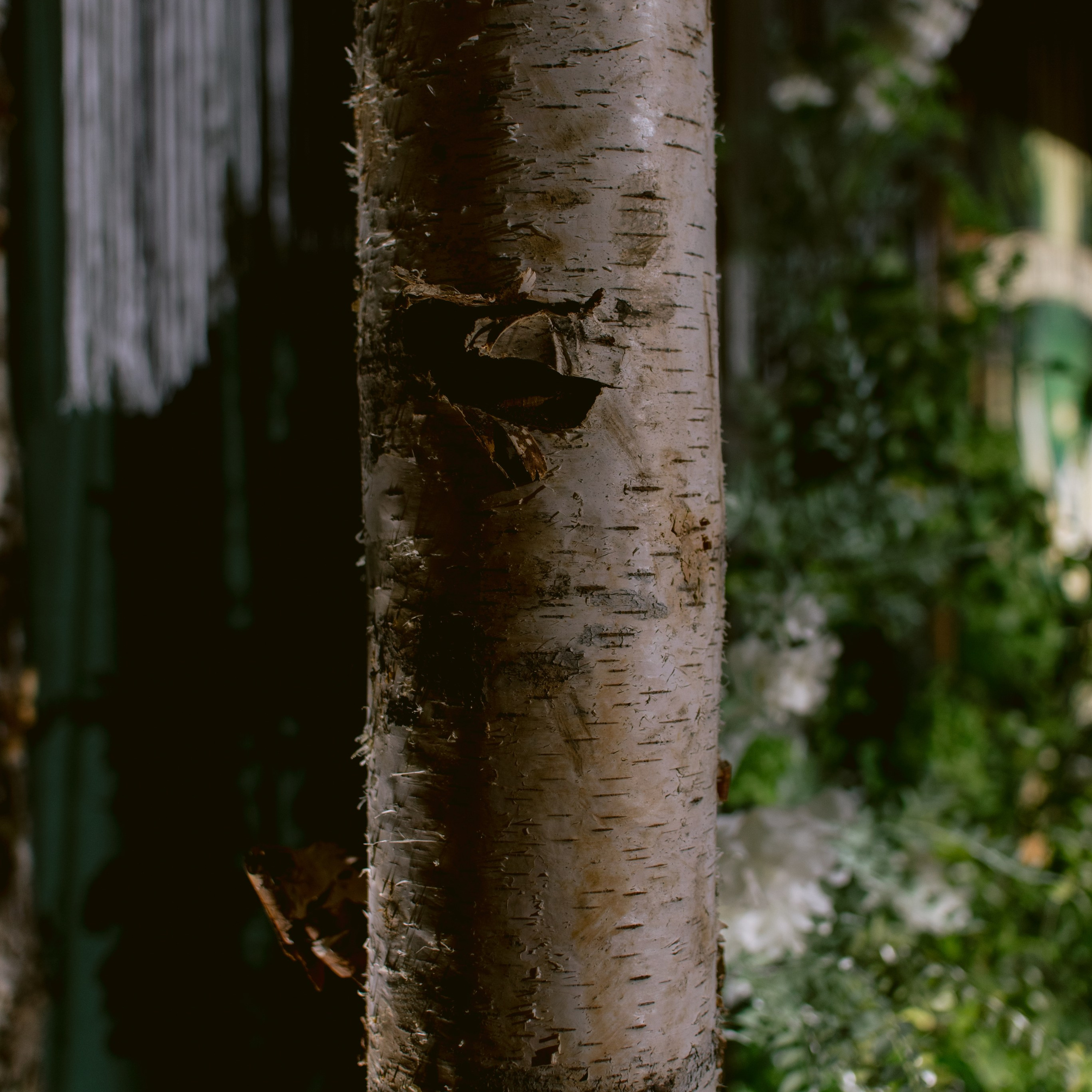 Свадьба Ивана и Алены. Event-агентство «Апельсин» Ижевск