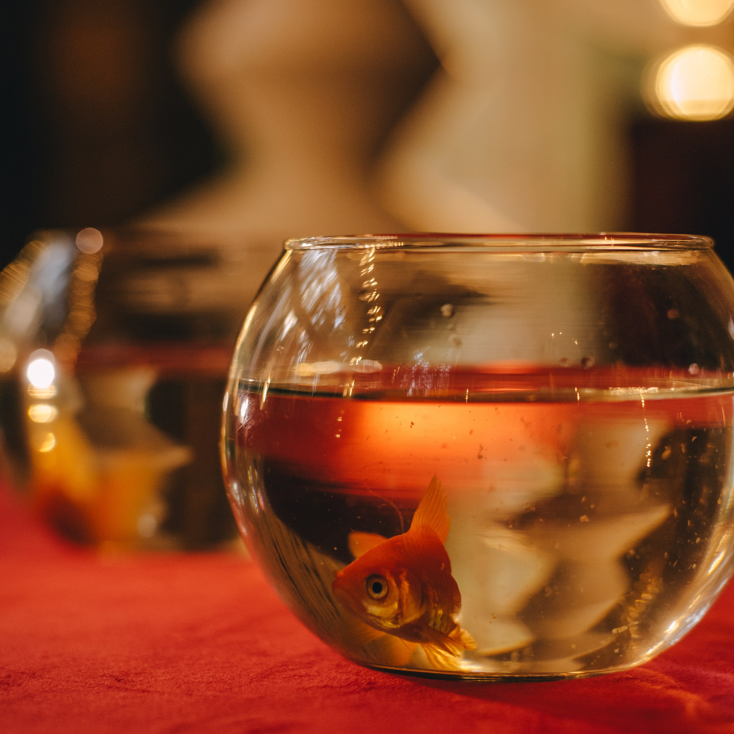 Свадьба Ивана и Алены. Event-агентство «Апельсин» Ижевск