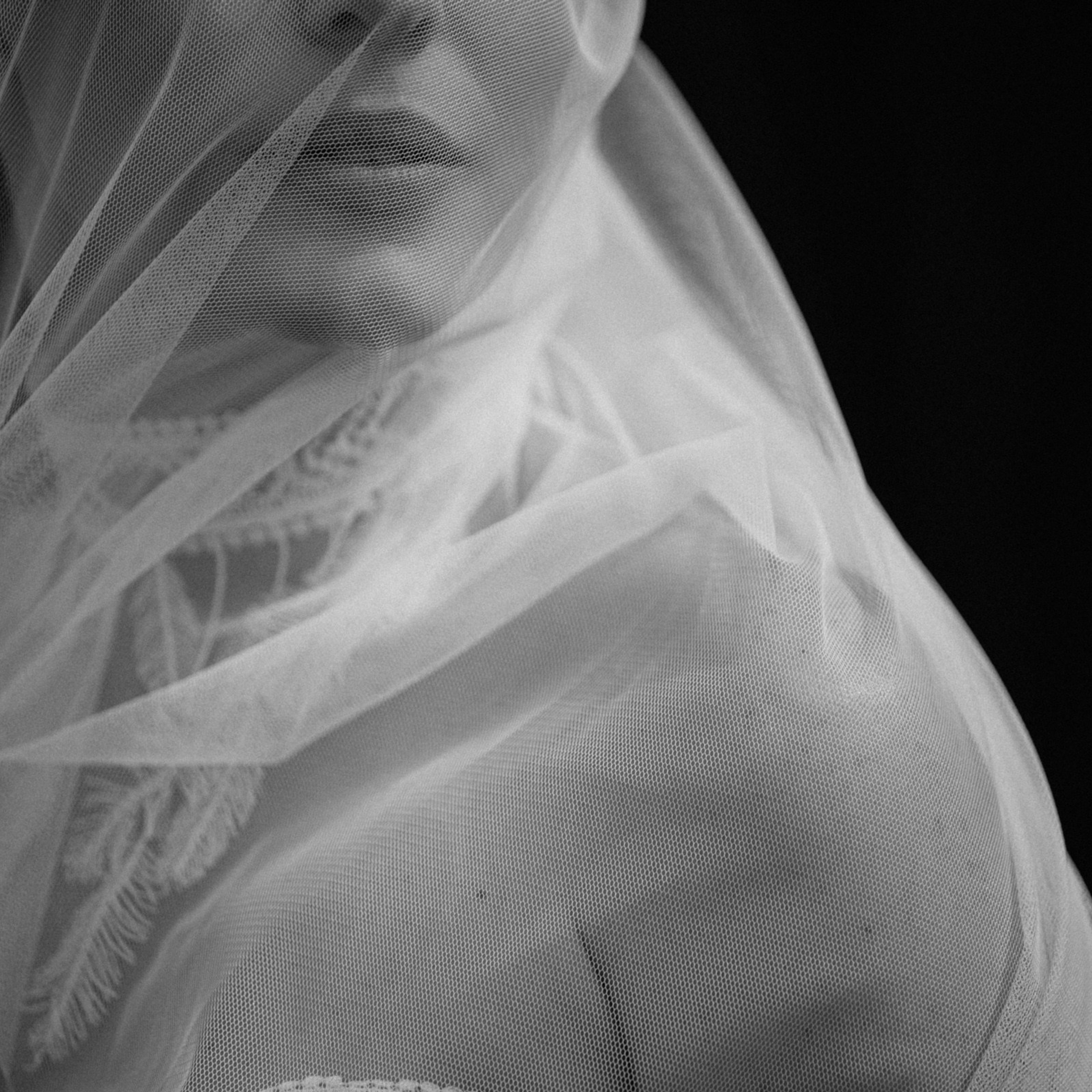 LUNA ● Серия собирается