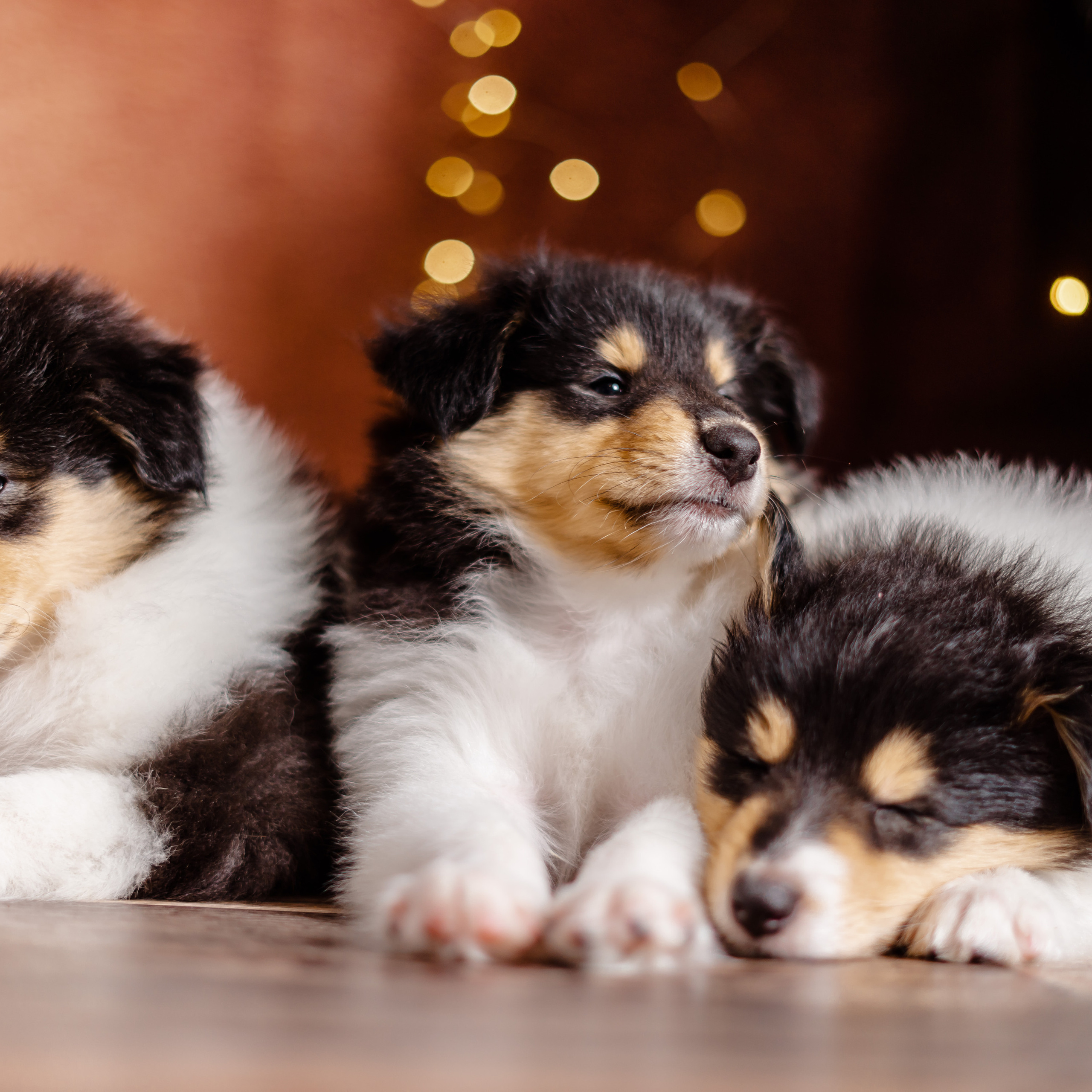 Отзывы. Семейный и детский фотограф в Екатеринбурге и НевьянскеТимурова Алина