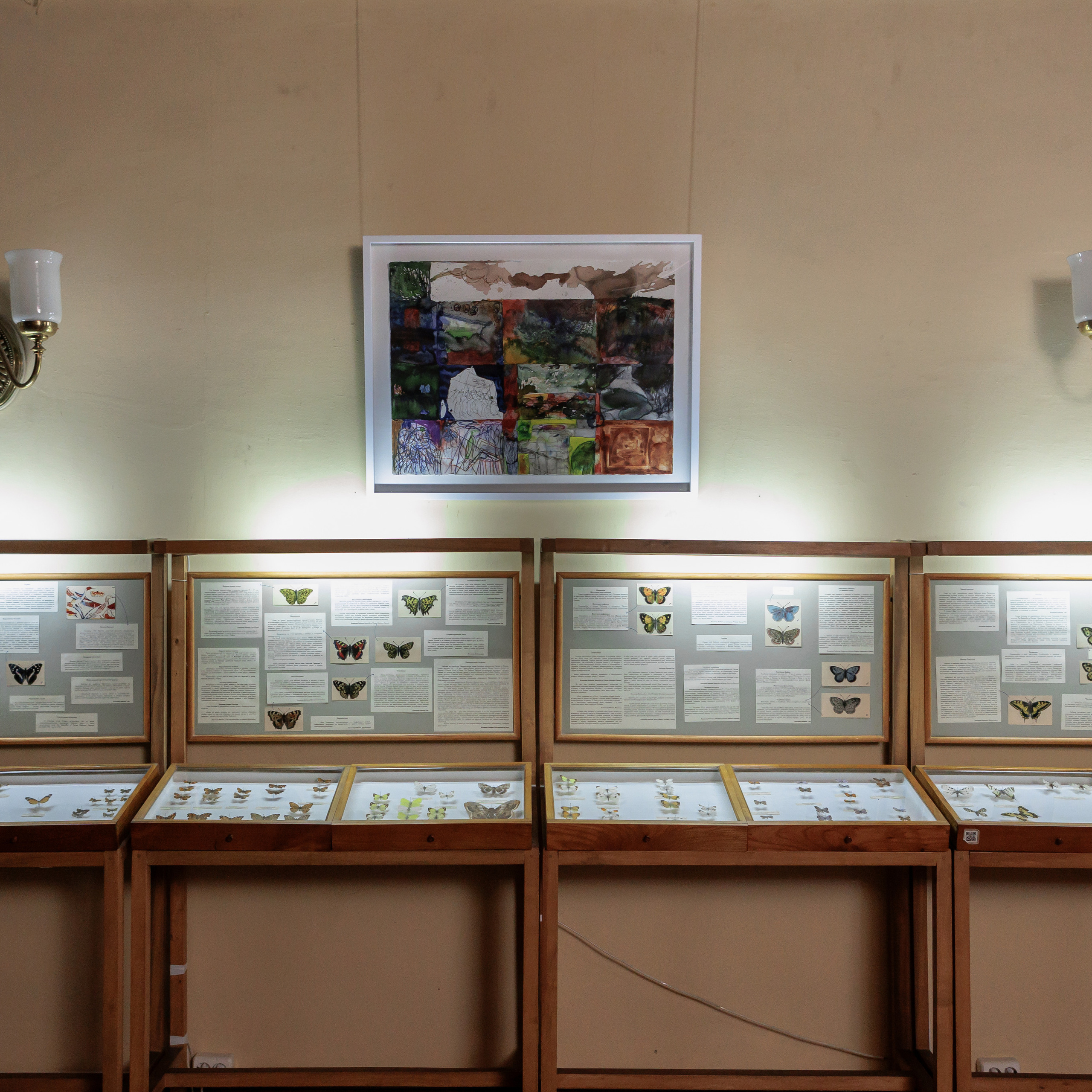 How to catch a moth?. Ilia Kronchev-Ivanov