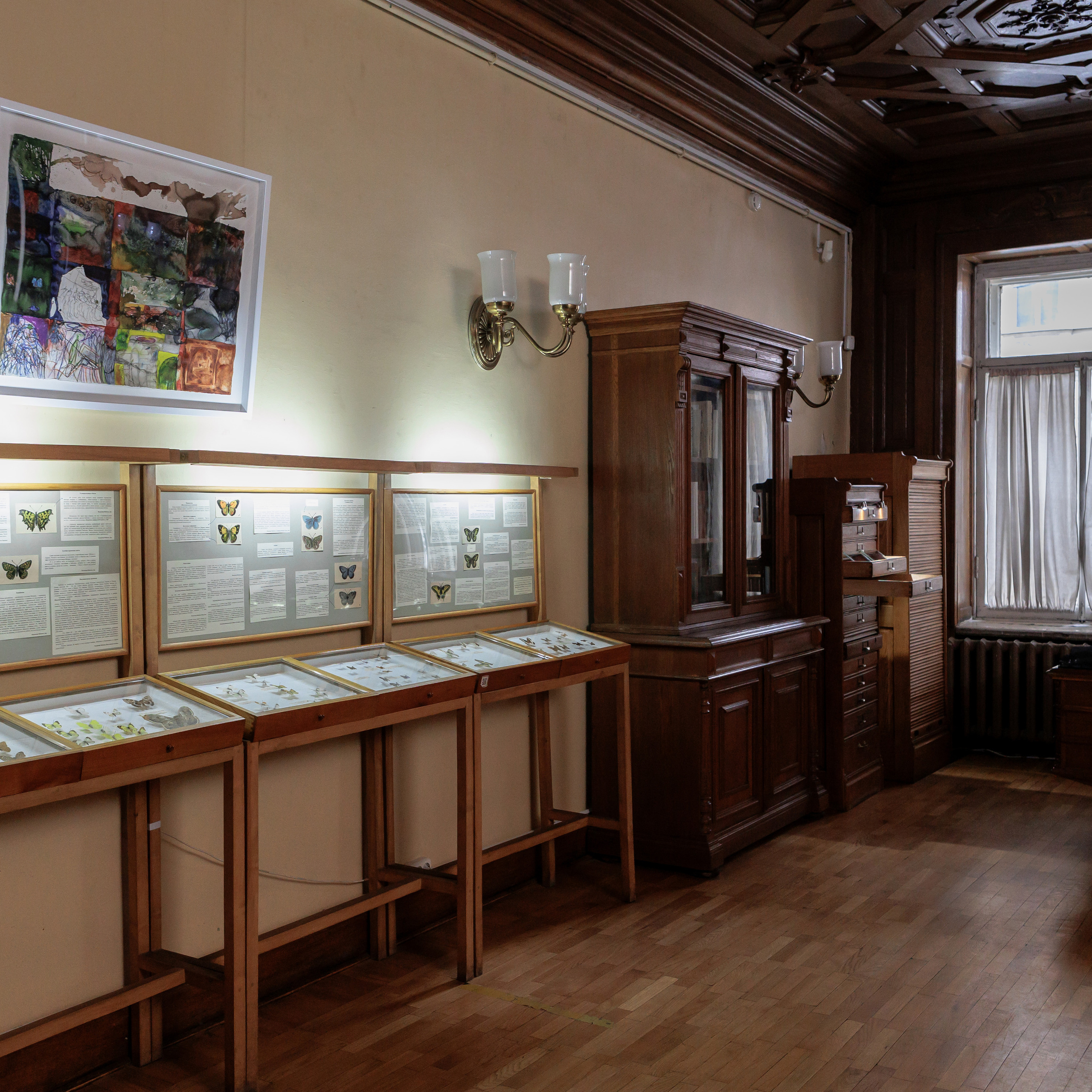 How to catch a moth?. Ilia Kronchev-Ivanov