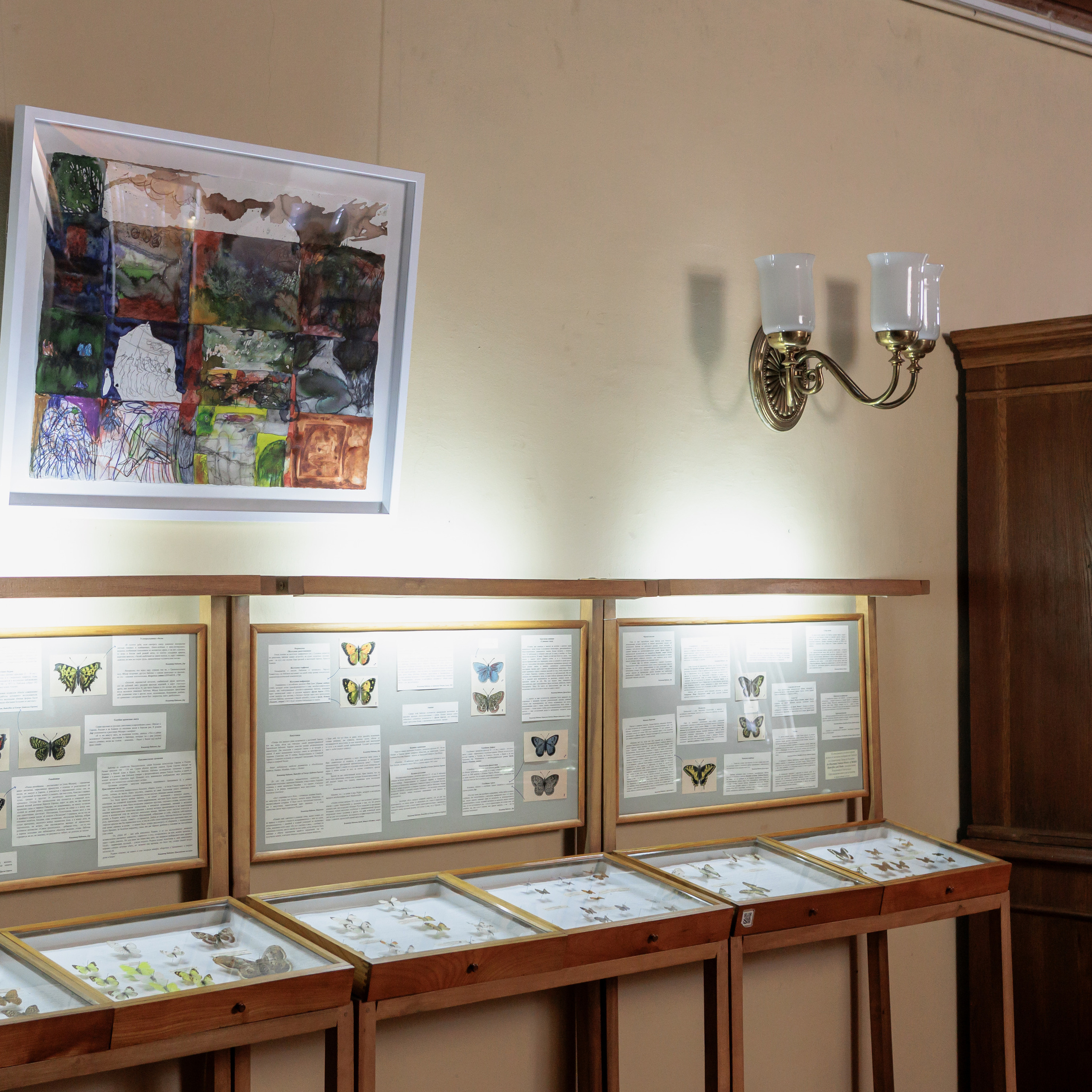 How to catch a moth?. Ilia Kronchev-Ivanov