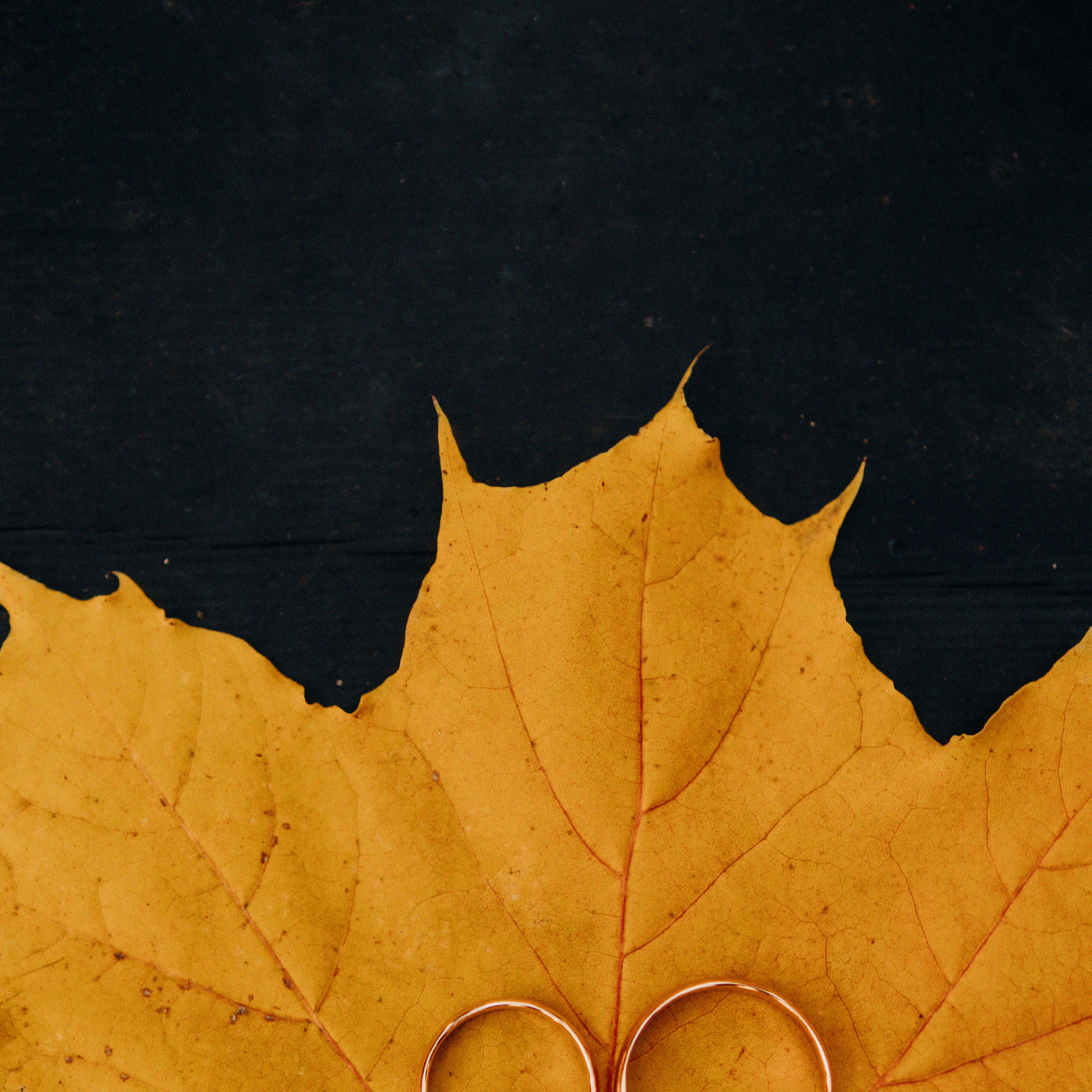 ОТЗЫВЫ. Свадебный и семейный фотограф Арестенко Анастасия