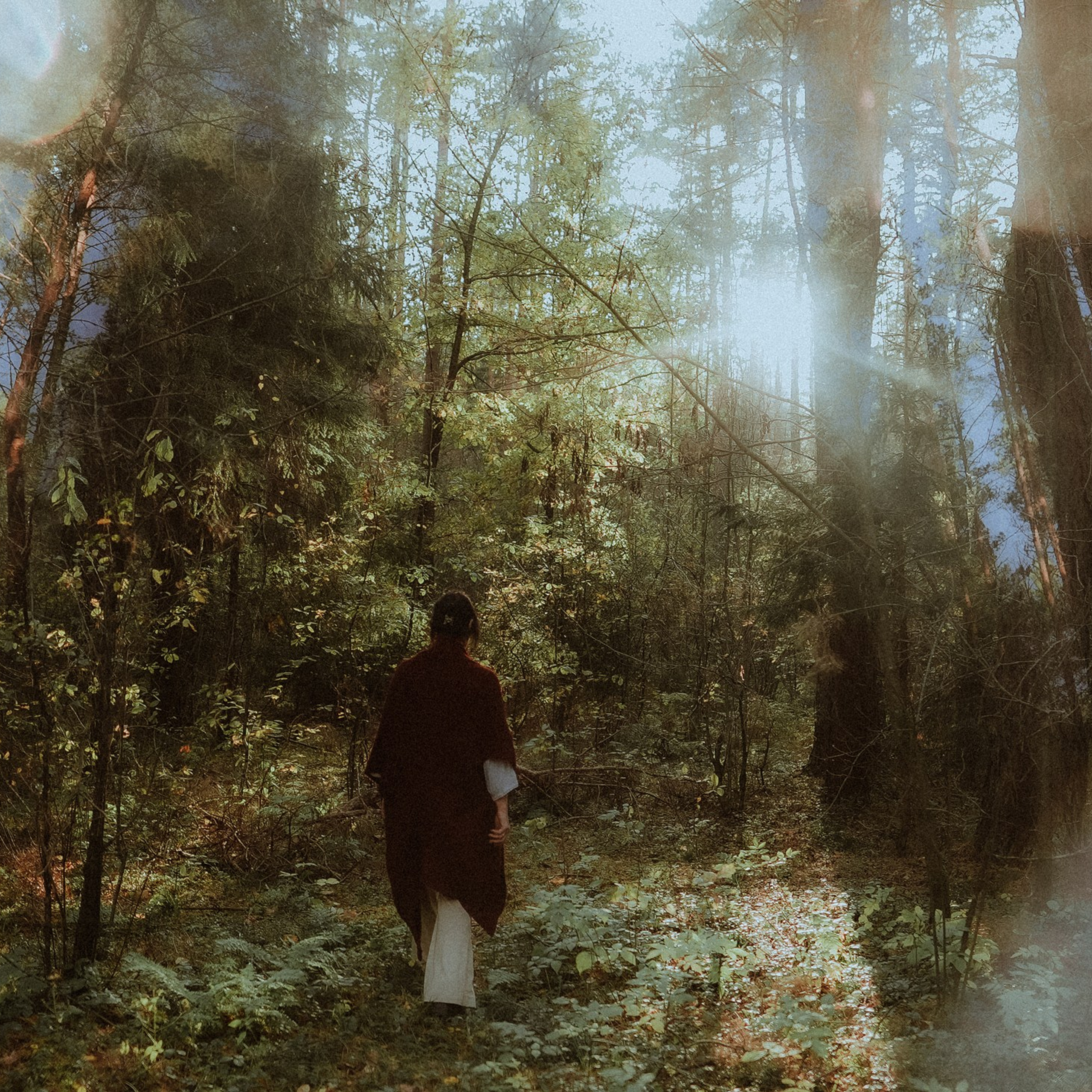 Алиса Аницкая. Фотограф Смоленск, МСК, СПБ. Отзывы. Алиса Аницкая